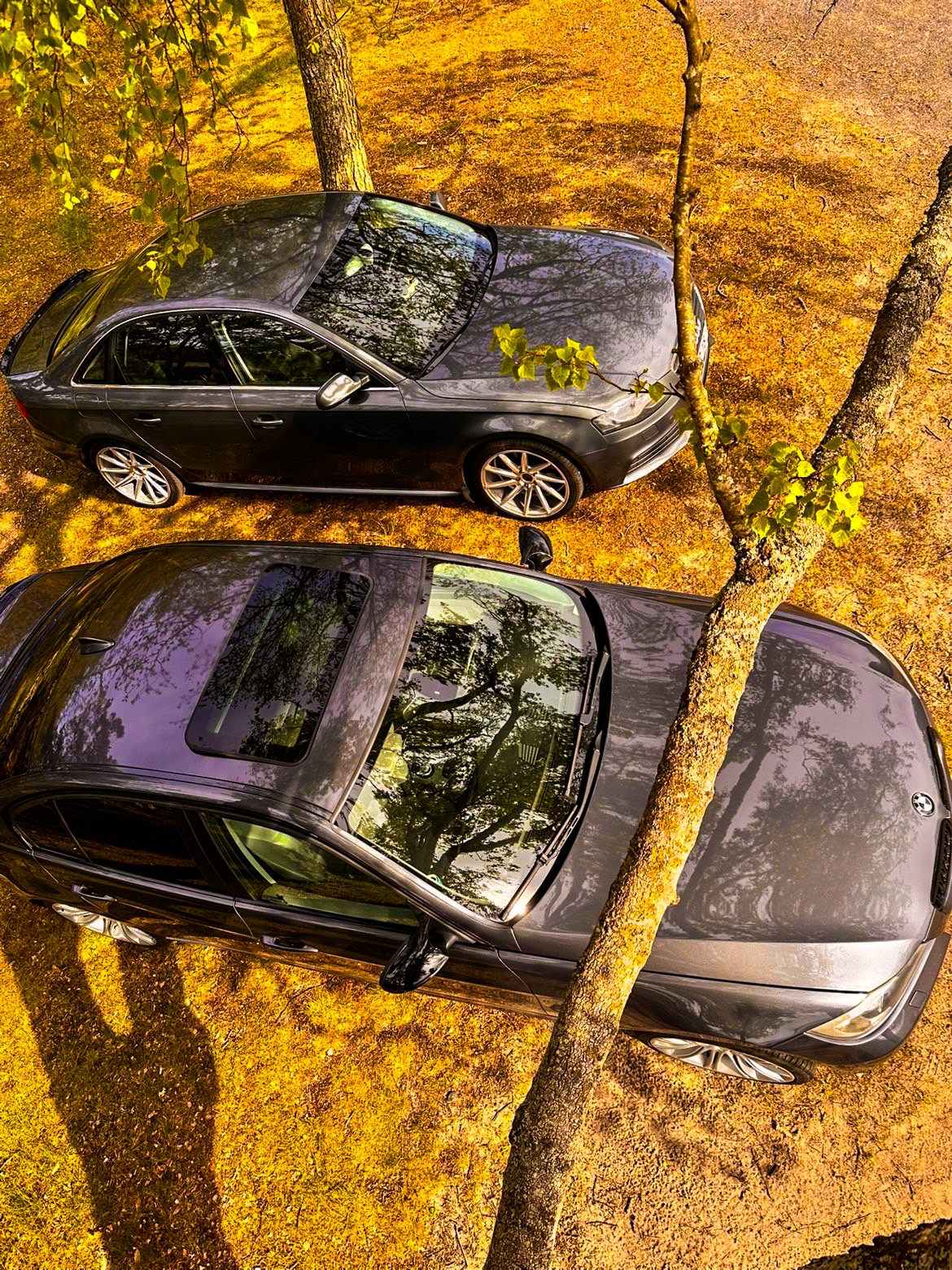 BMW 325 i Sedan Automatisk 2005, photo 6/8