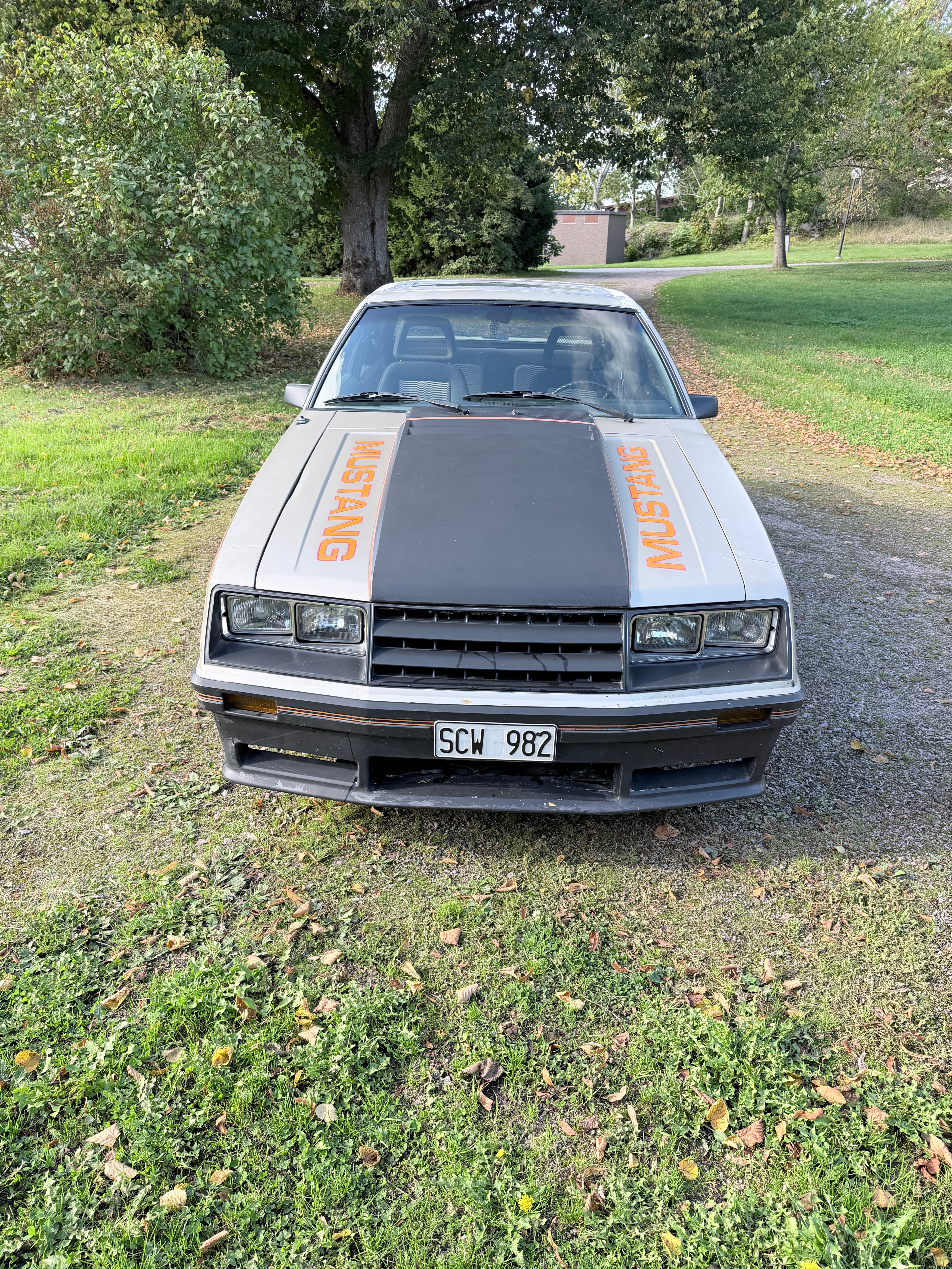 Ford Mustang 1979, bild 2/8