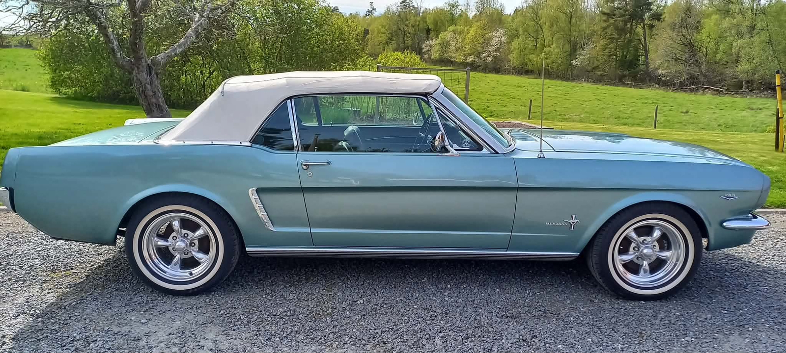 Ford Mustang Cabriolet 4.7 V8 1965, bild 3/7
