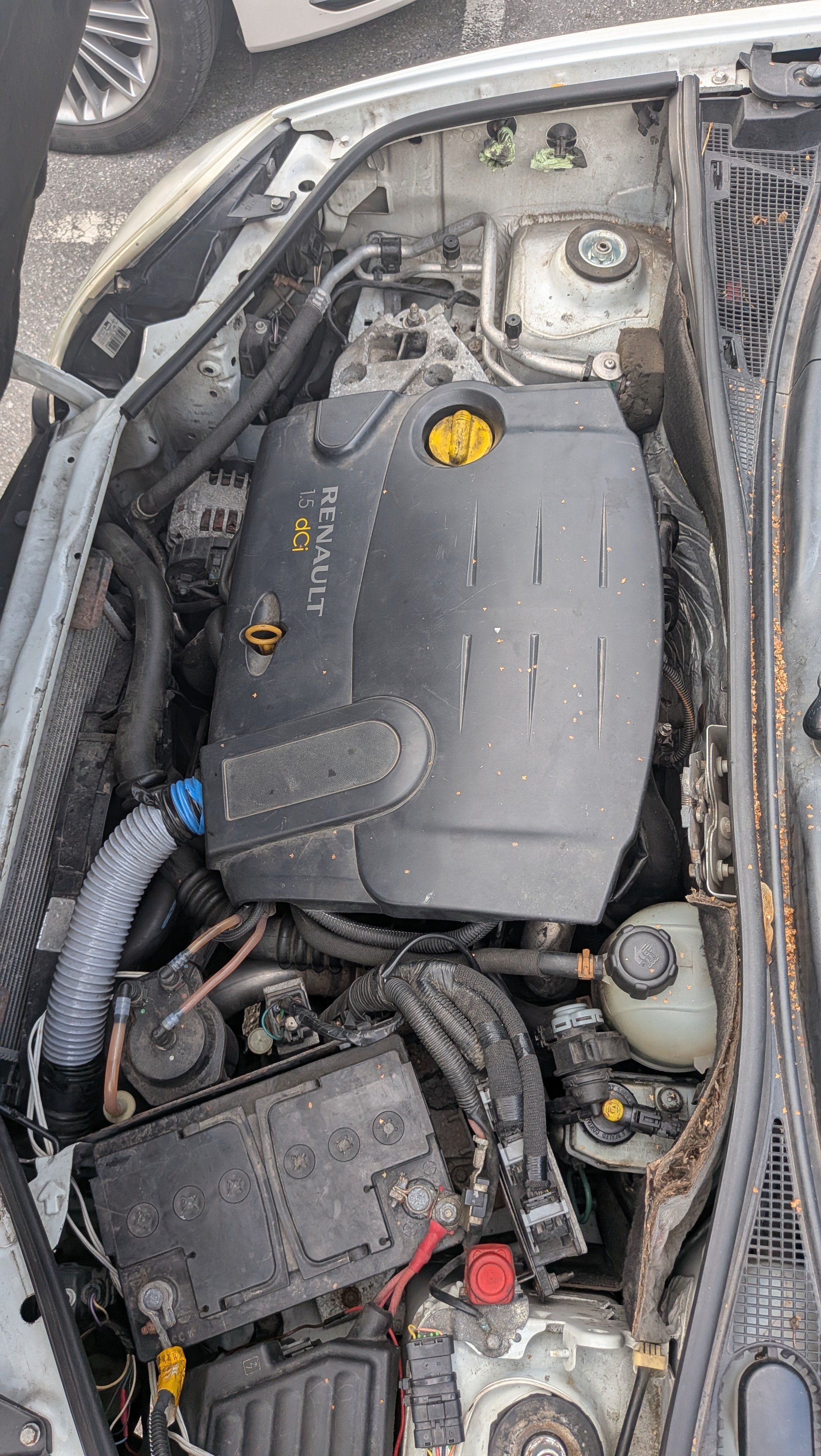 Renault Kangoo Express 2007, bild 6/10