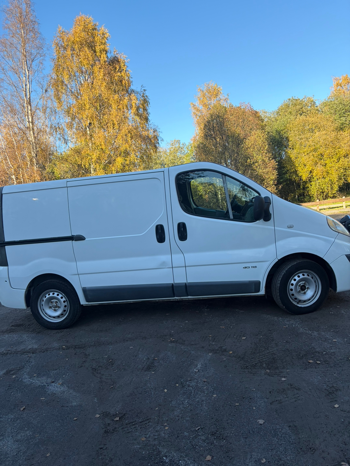 Nissan Primastar 2.9t 2.0 dCi Manuell 2012, bild 2/5