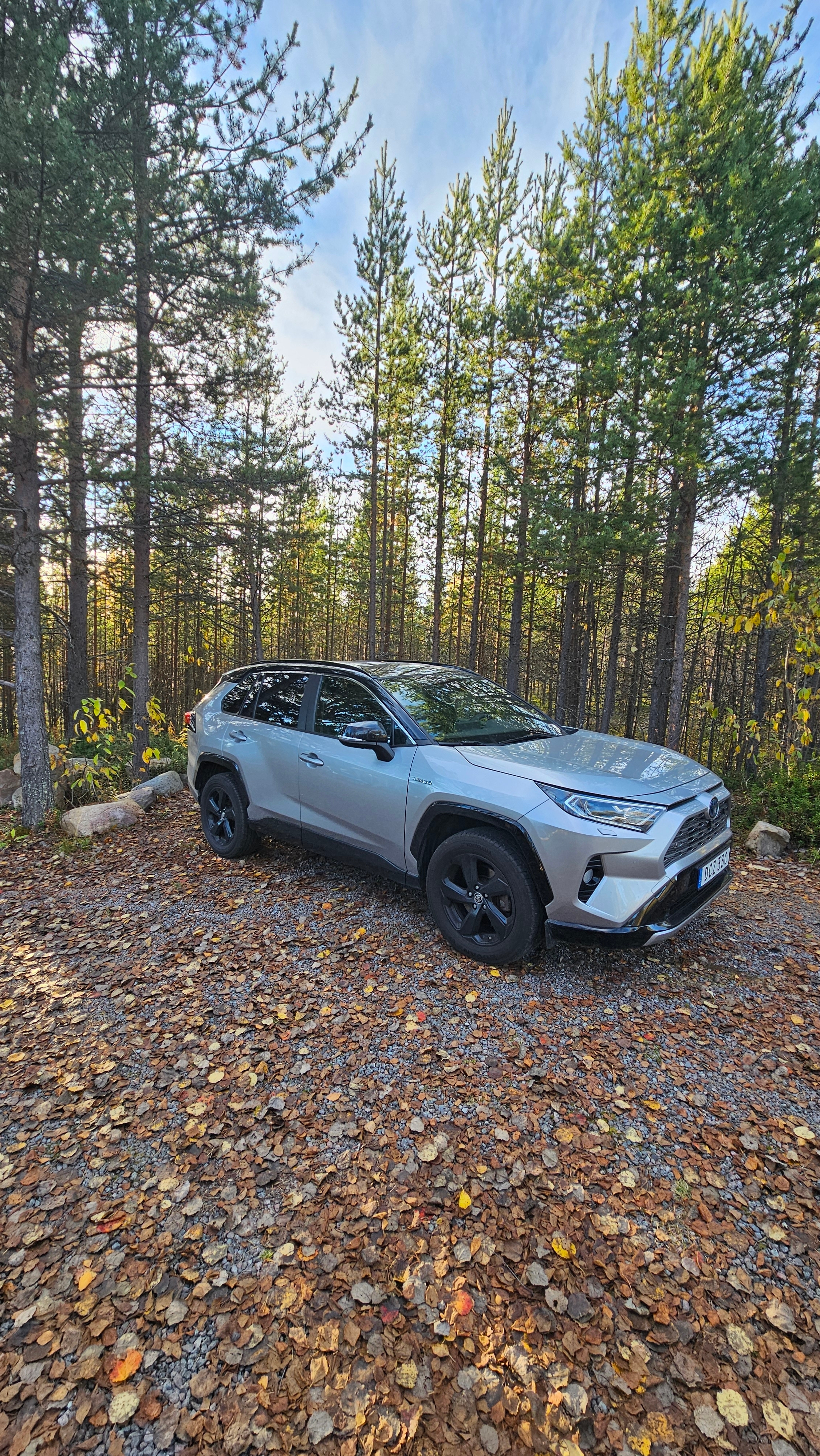 Toyota RAV4 Hybrid AWD-i E-CVT 2020, bild 3/6