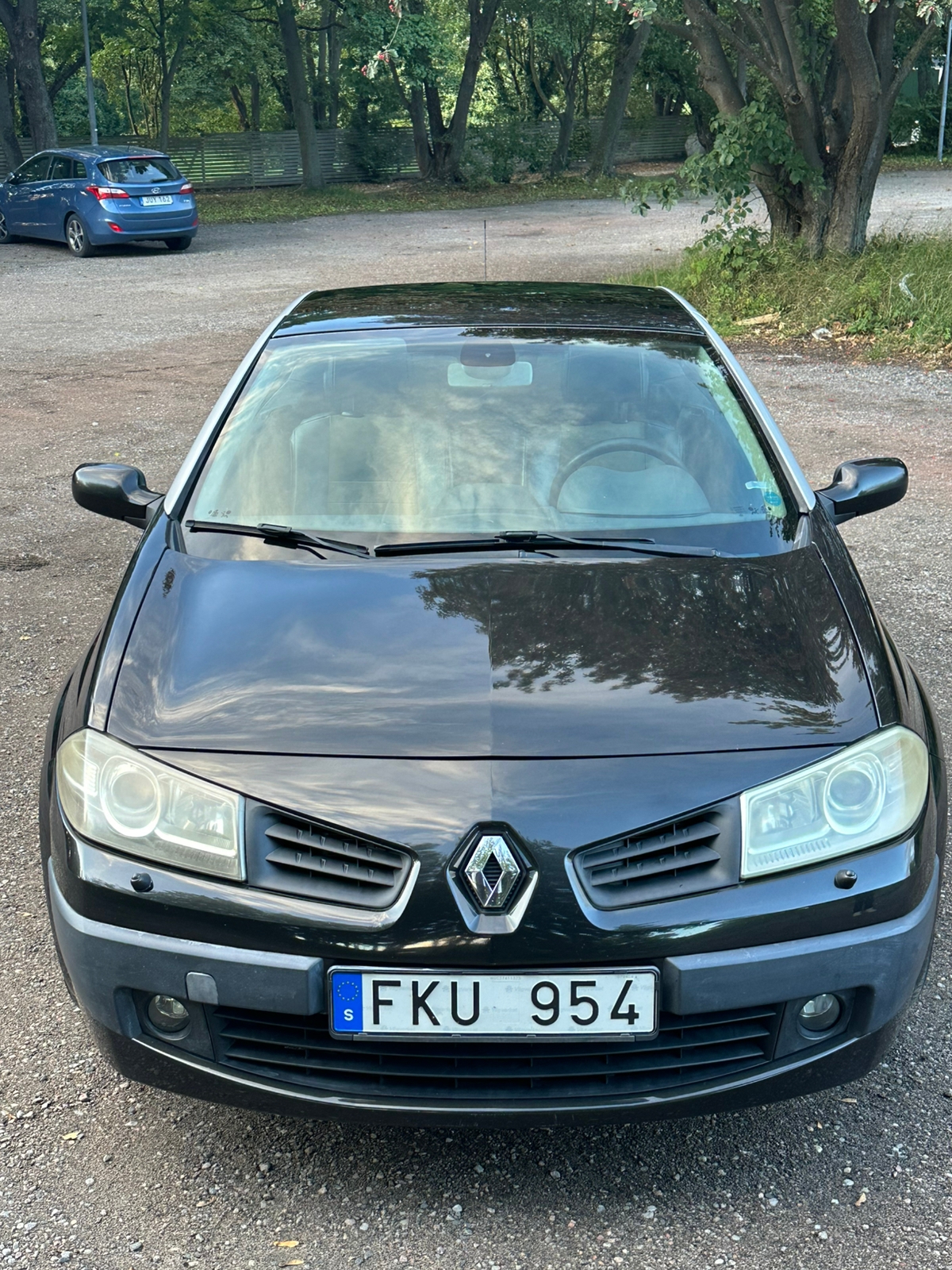 Renault Megane 2007, bild 2/10
