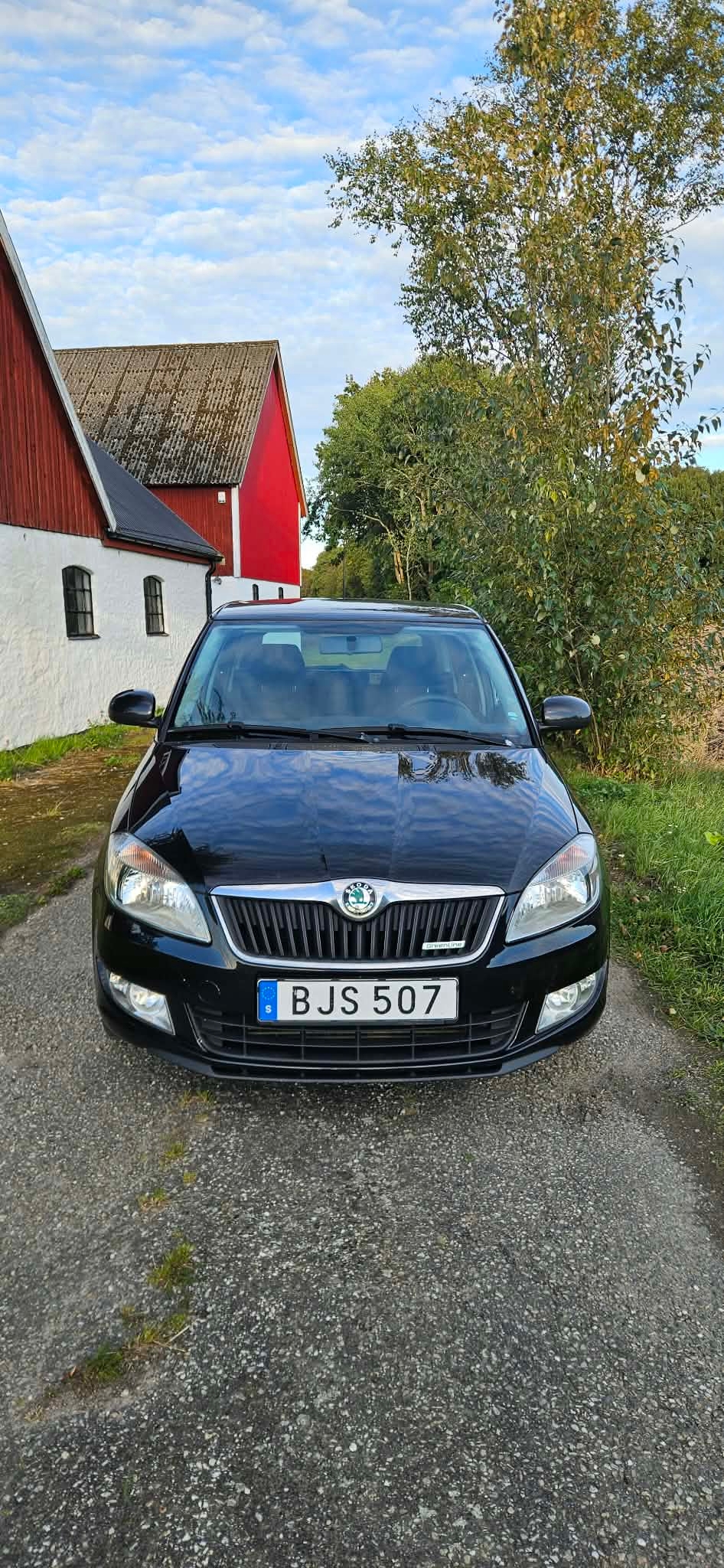 Skoda Fabia Kombi 1.2 TDI Manuell 2011, bild 6/7