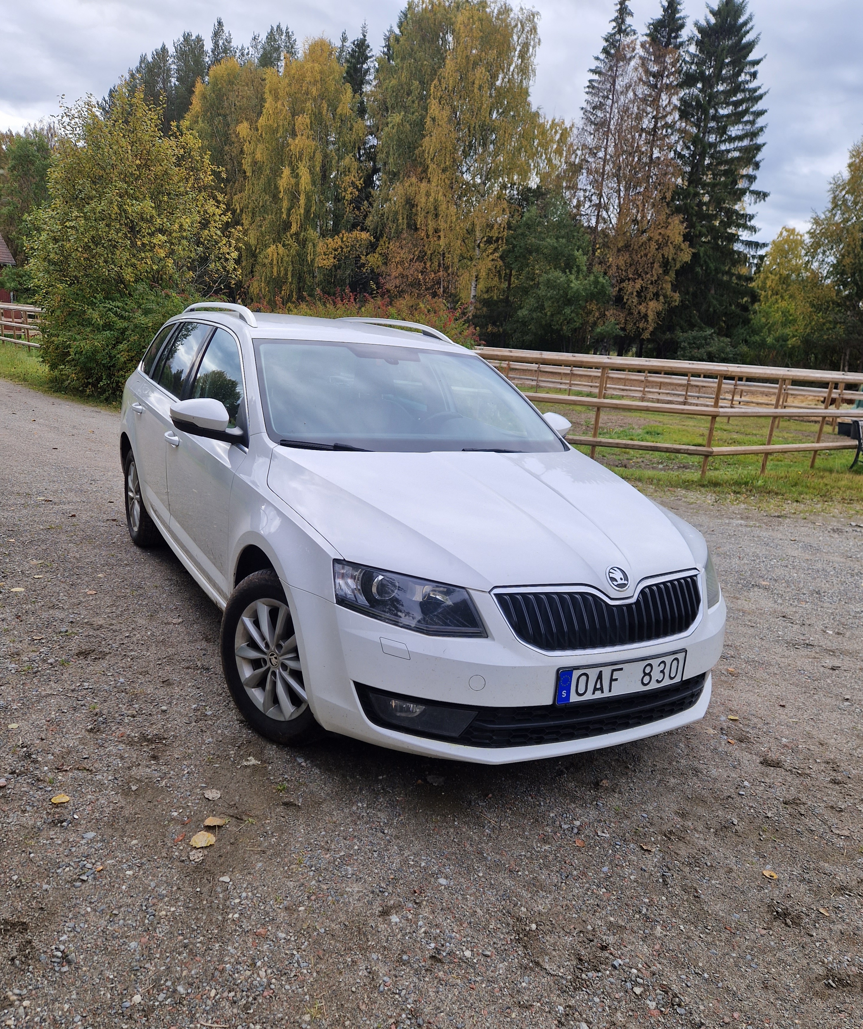 Skoda Octavia Kombi 2.0 TDI 4x4 Manuell 2014, bild 2/6