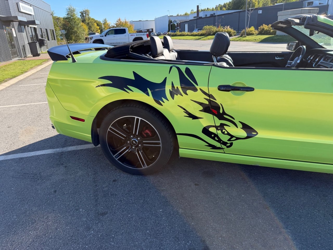 Ford Mustang GT Convertible GT 2014, photo 5/10