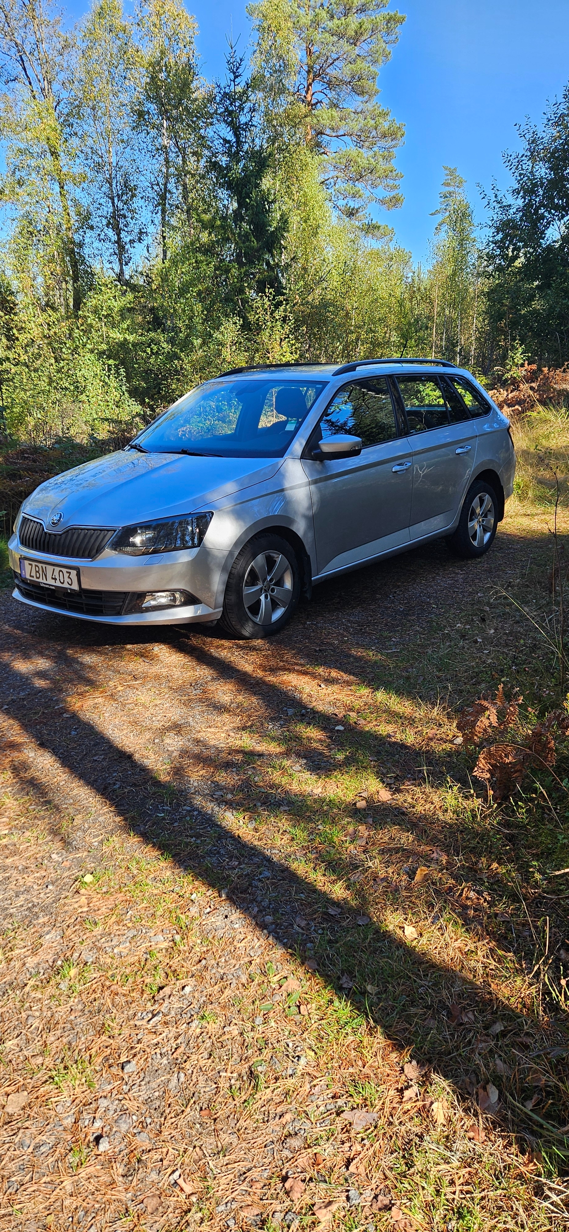 Skoda Fabia Kombi 1.0 TSI Manuell 2018, bild 7/8