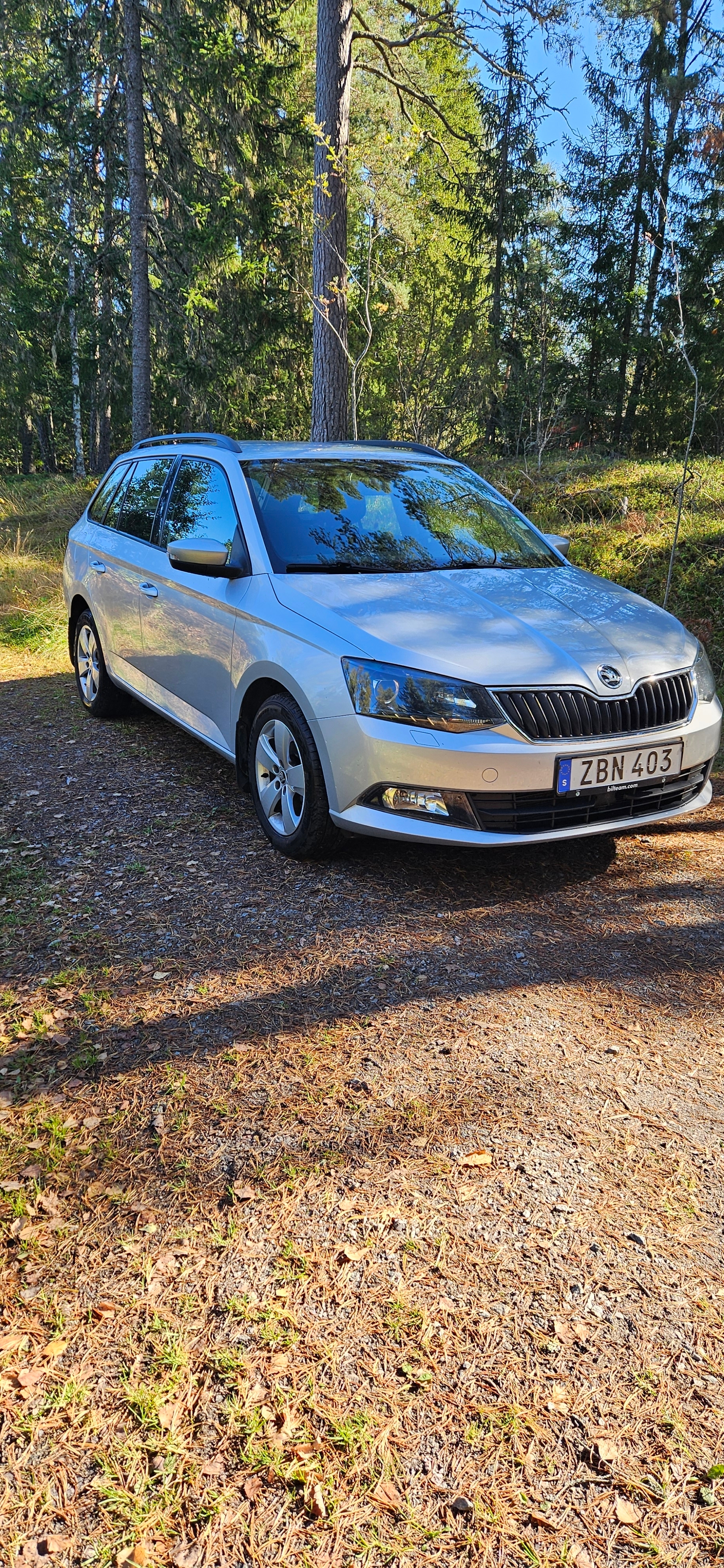 Skoda Fabia Kombi 1.0 TSI Manuell 2018, bild 2/8