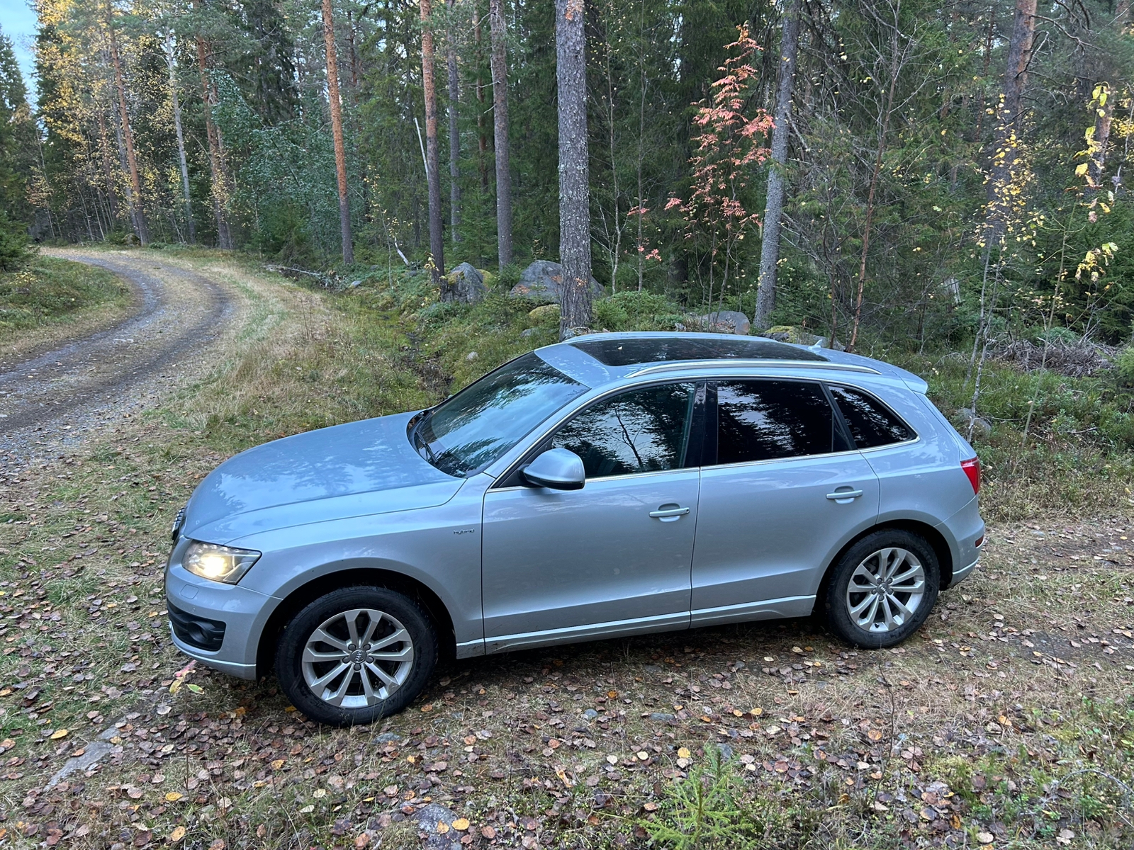 Audi Q5 2013, bild 5/10