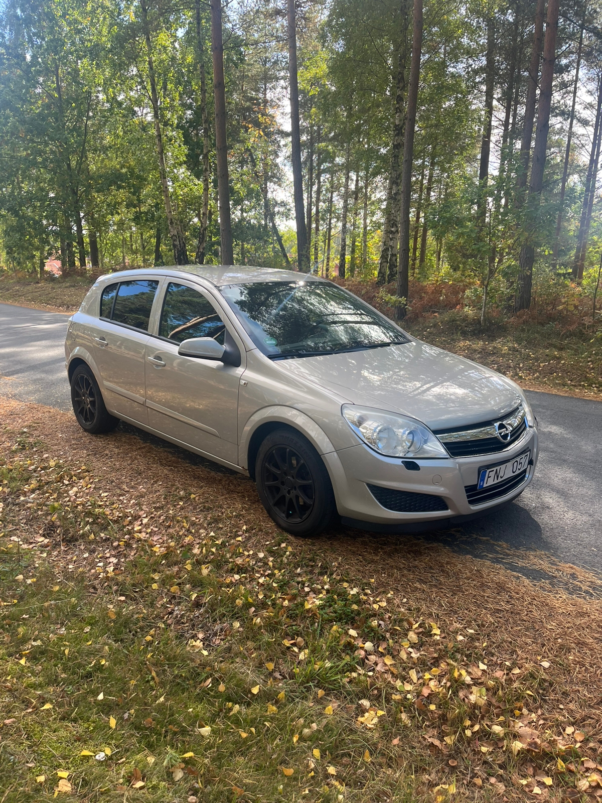 Opel Astra 1.6 Twinport ECOTEC Manuell 2007, bild 2/7
