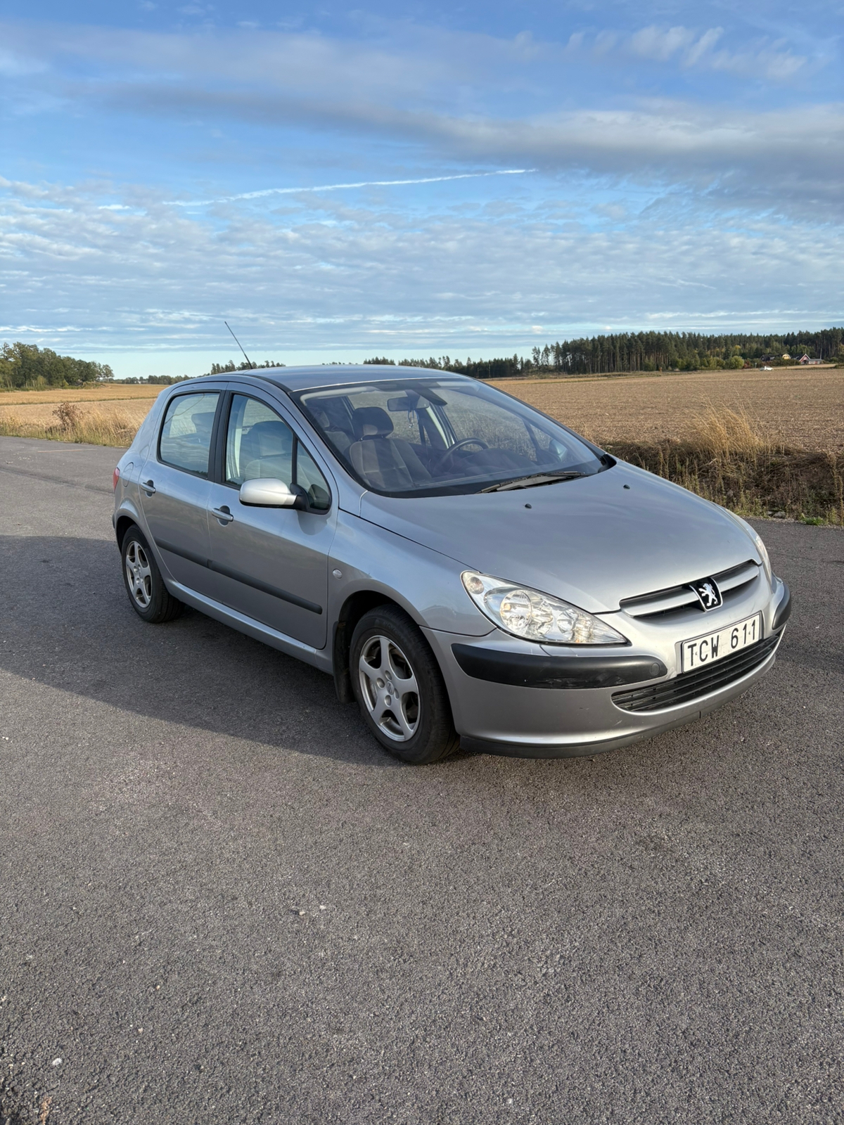 Peugeot 307 5-dörrar 1.6 Automatisk 2002, bild 2/7