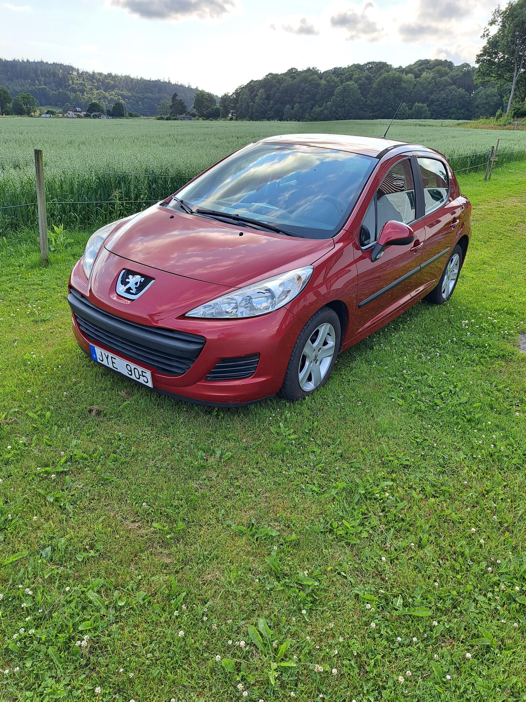 Peugeot 207