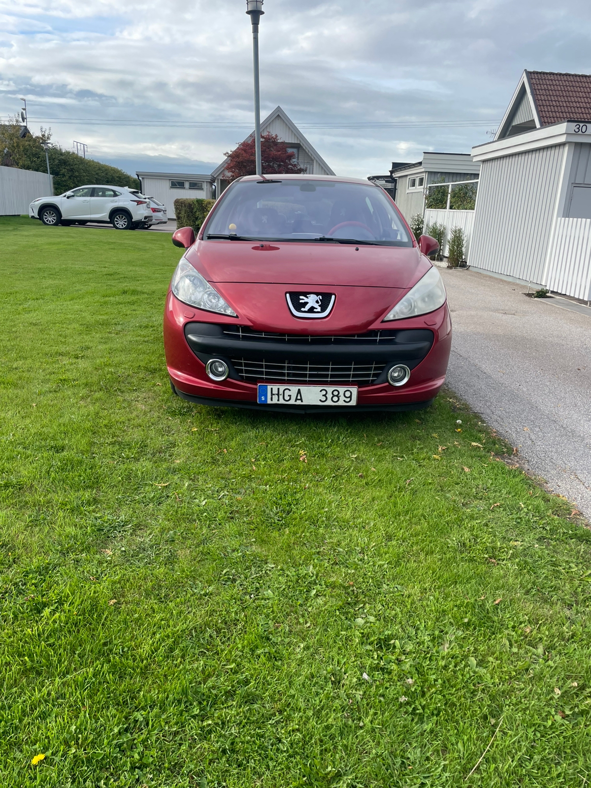 Peugeot 207