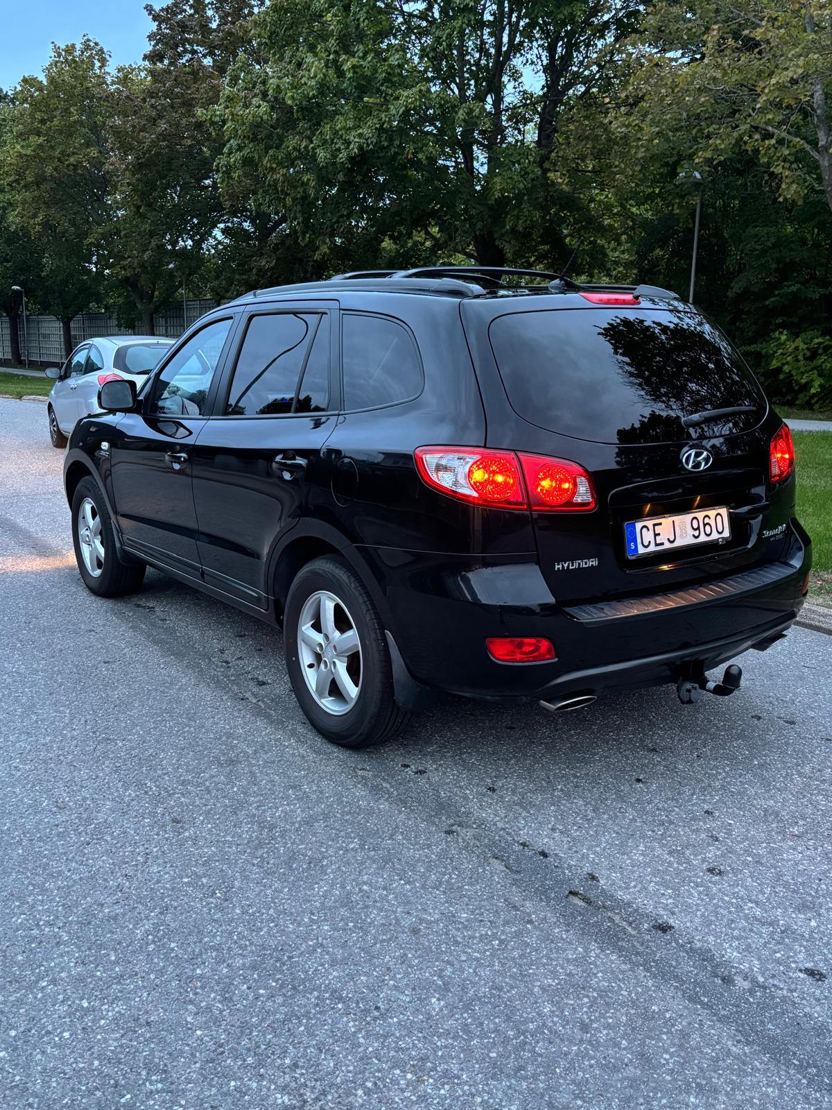 Hyundai Santa Fe 2007, bild 6/10