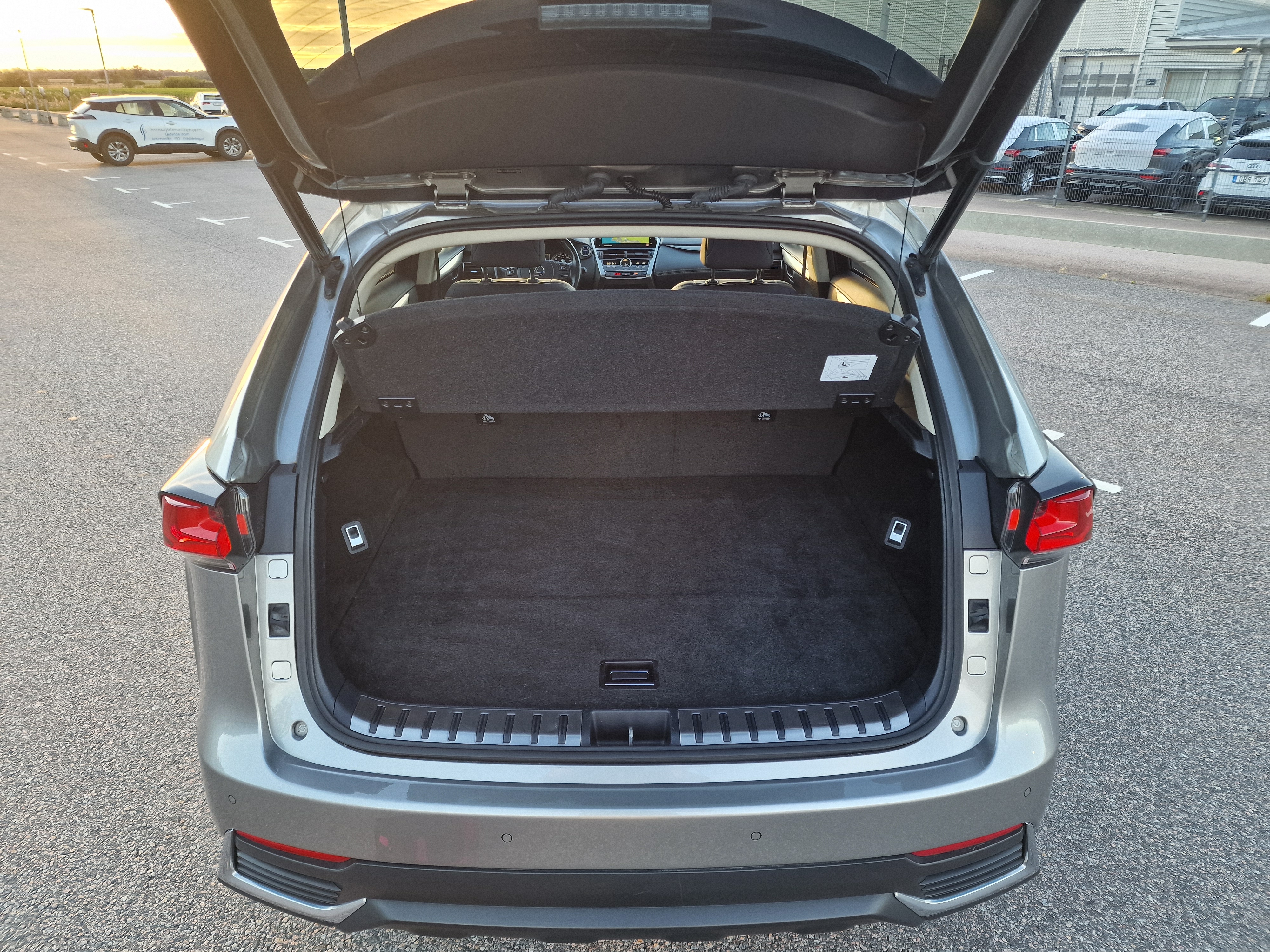 Lexus NX 2021, photo 7/10