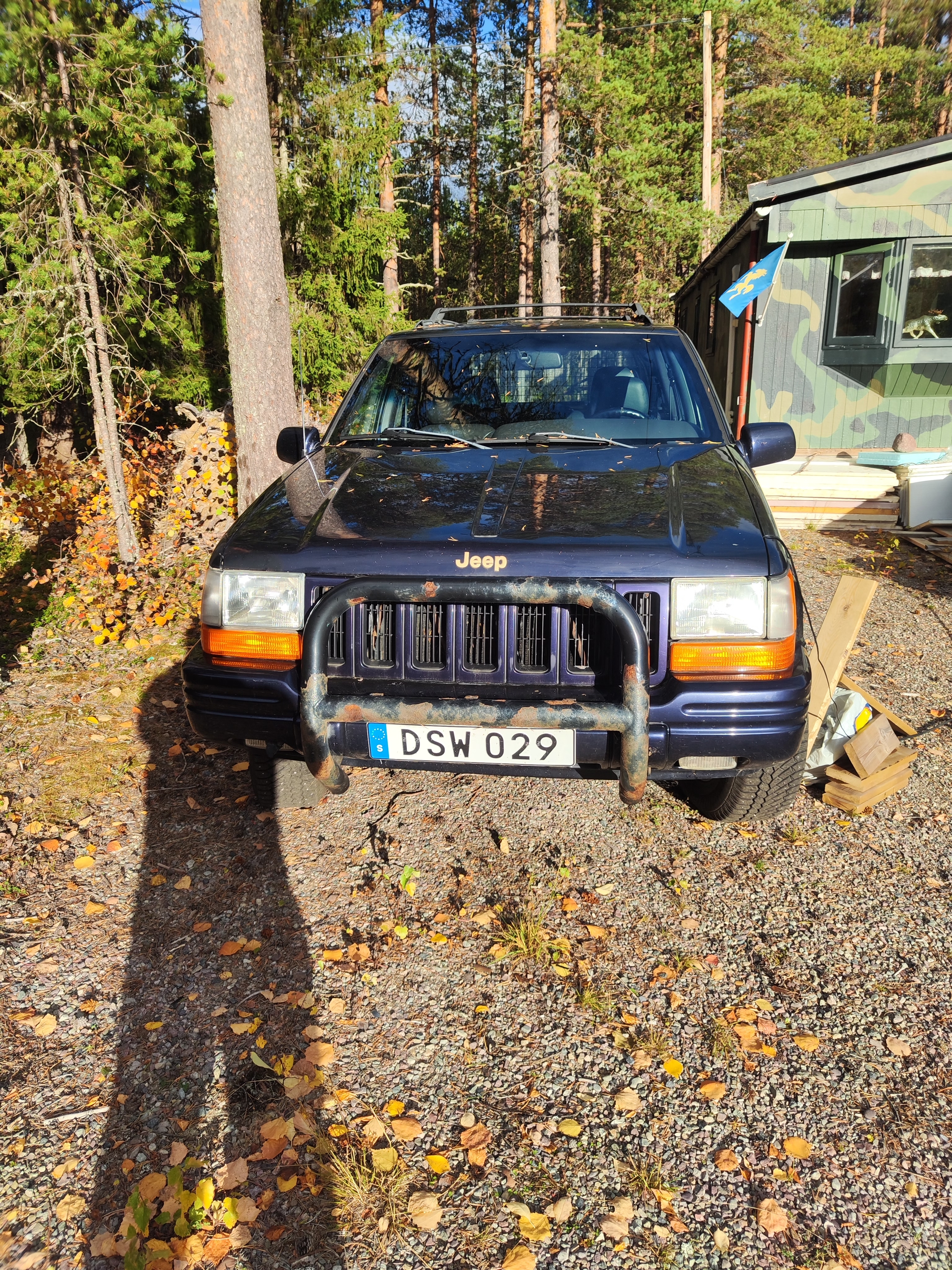 Jeep Grand Cherokee 1998, bild 2/8