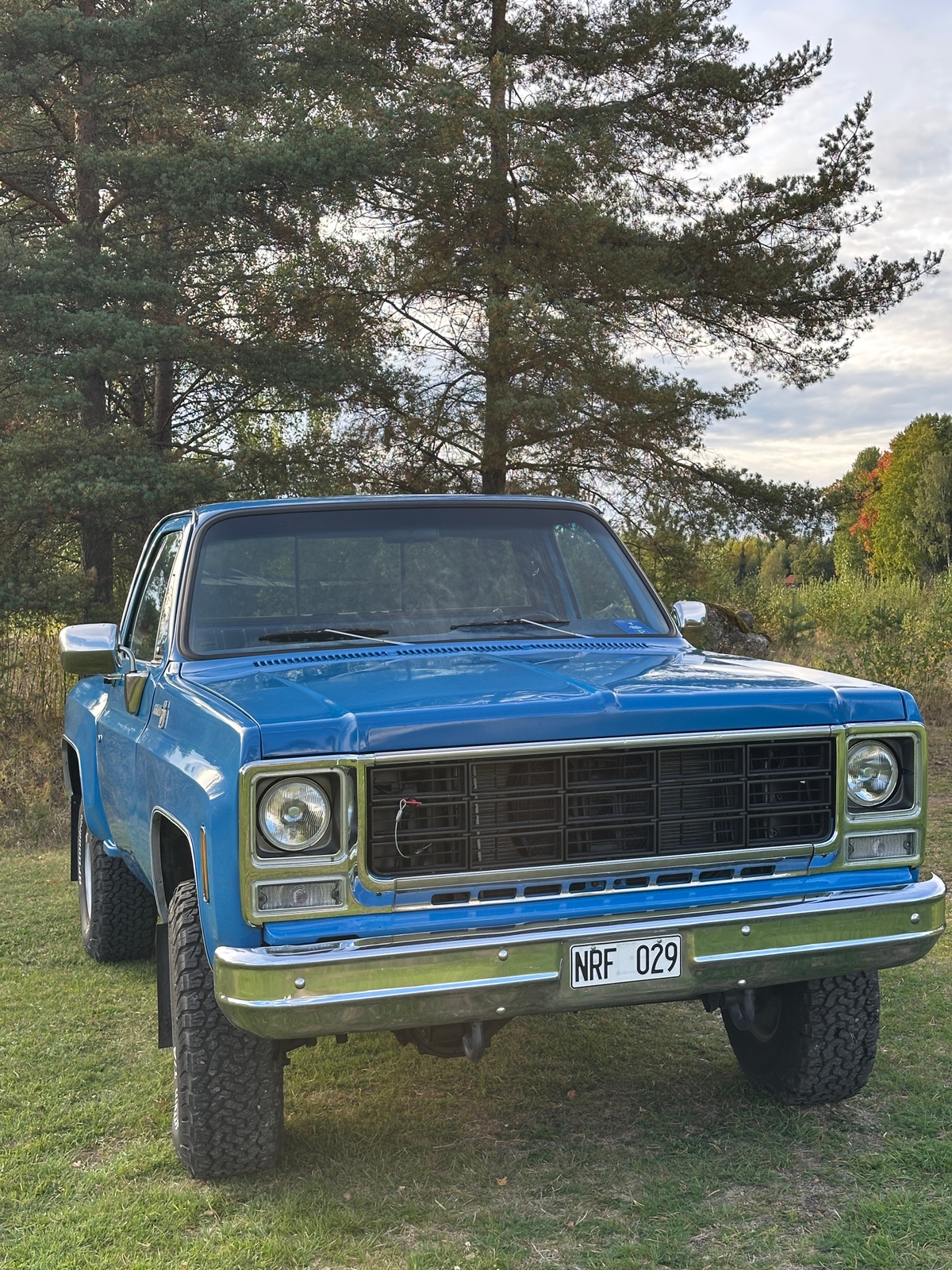 Chevrolet K10 1979, bild 4/10