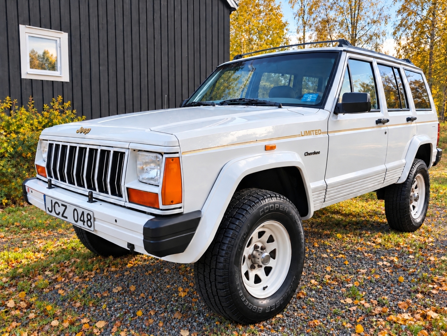 Jeep Cherokee 1991, bild 2/7