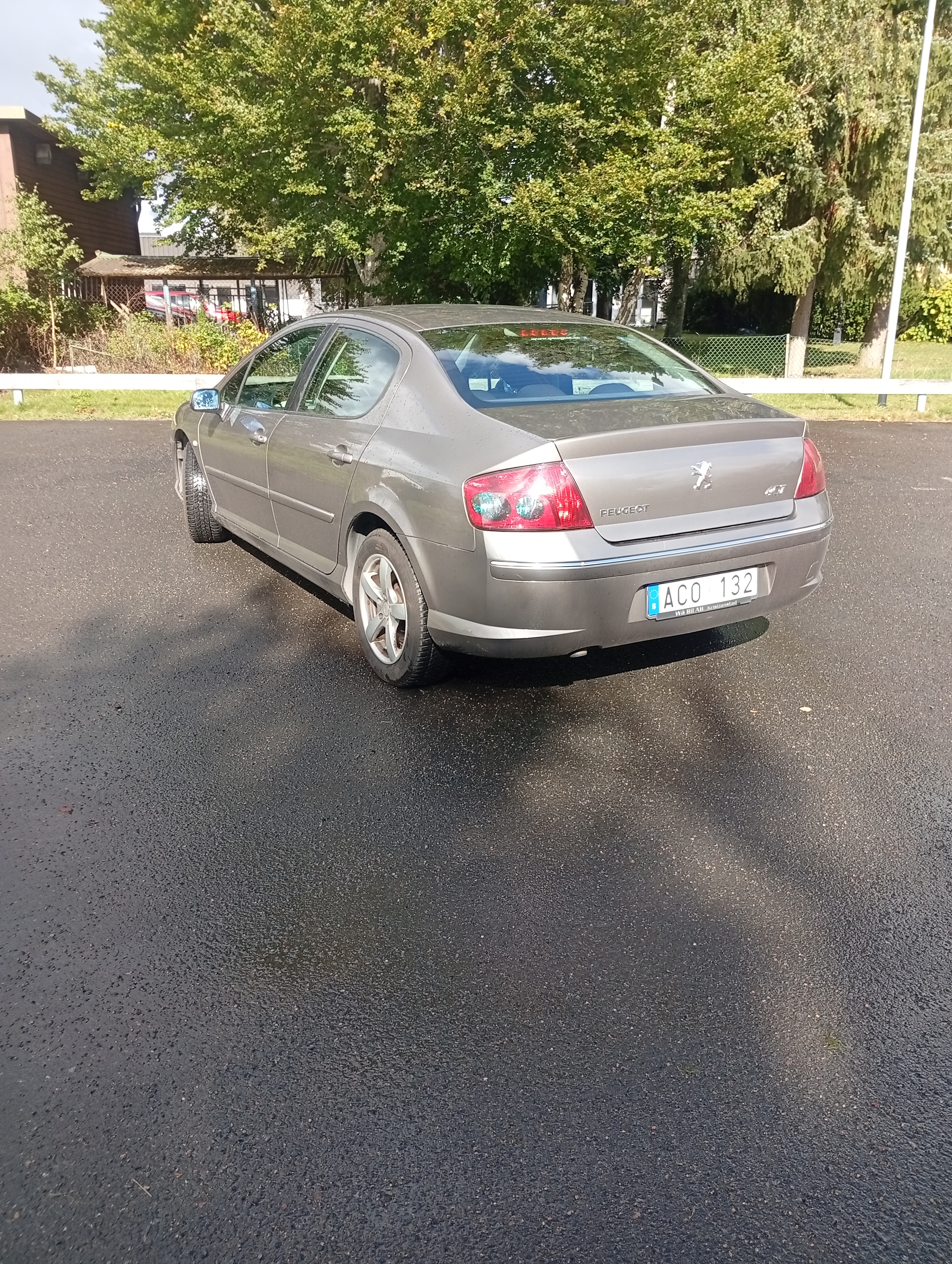 Peugeot 407 2.0 HDi Manuell 2007, bild 3/10