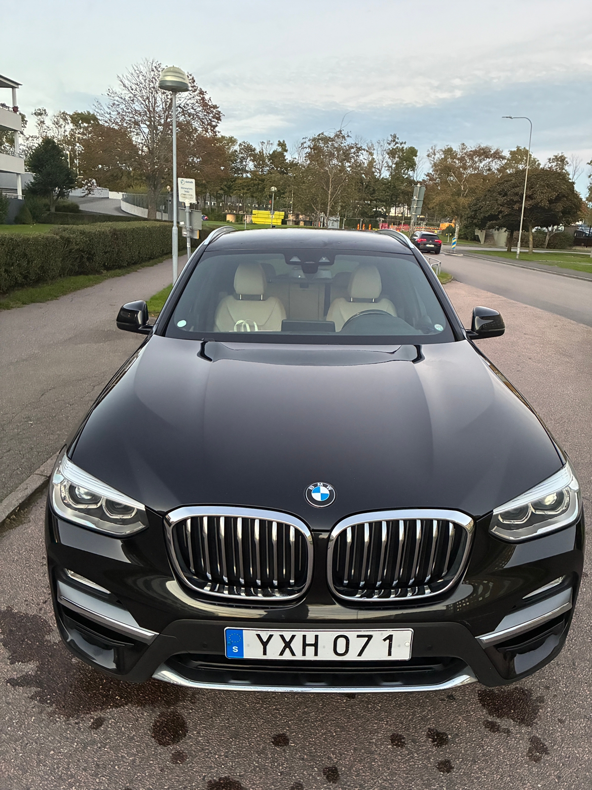 BMW X3 xDrive20d Steptronic Luxury Line 2018, photo 2/6
