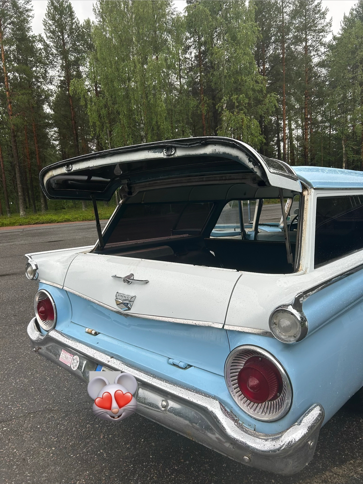 Ford V8 Ranch Wagon Fordor 4.8 1959, bild 7/8