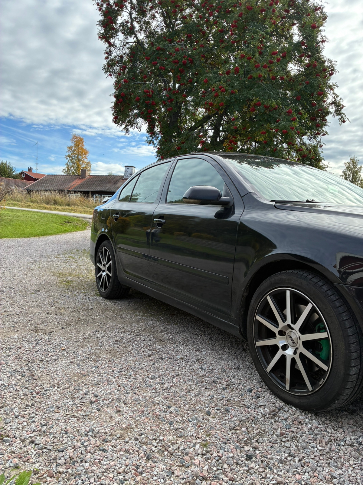 Skoda Octavia RS 2.0 TFSI Manuell 2006, kuva 3/6