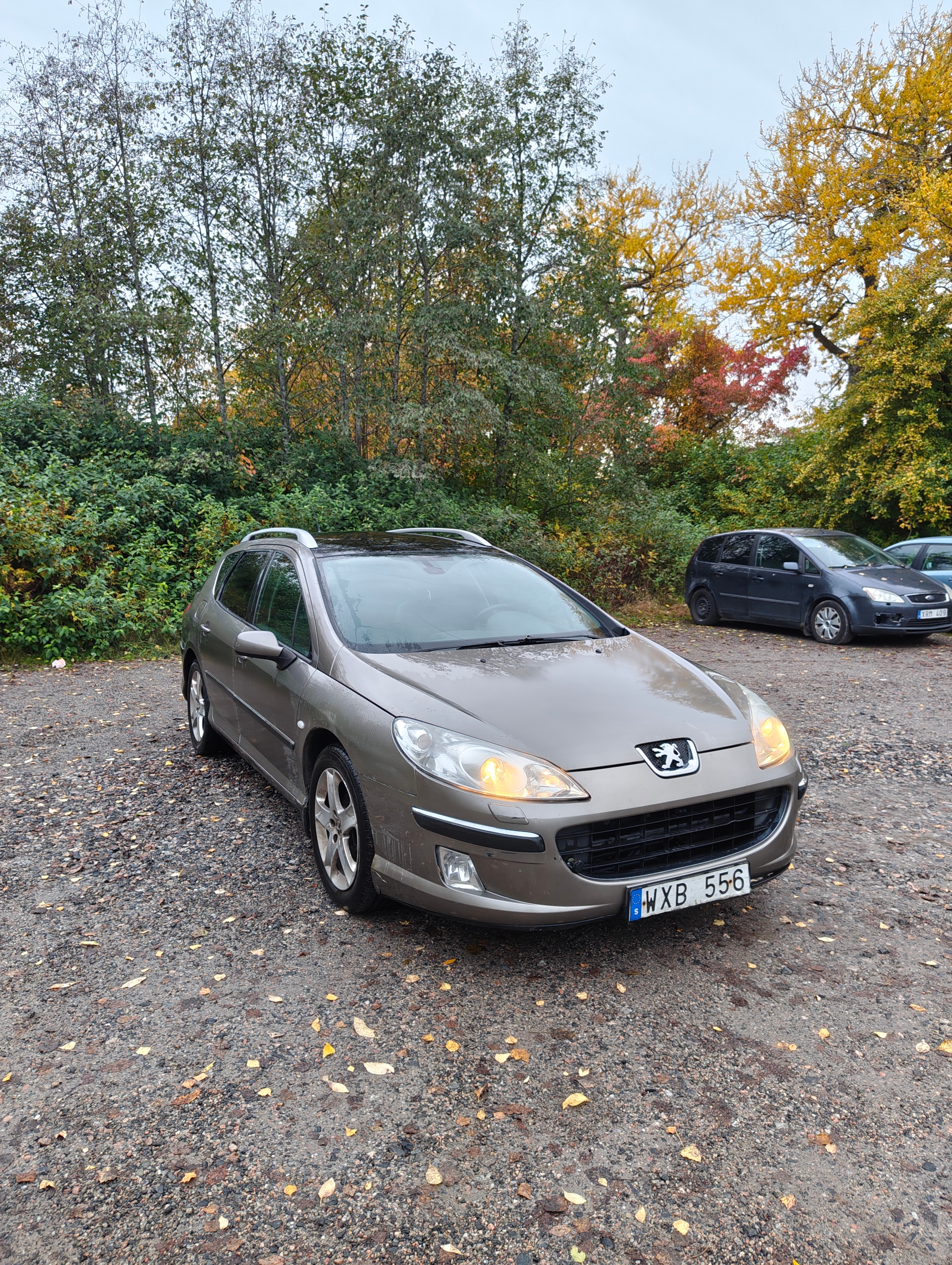 Peugeot 407