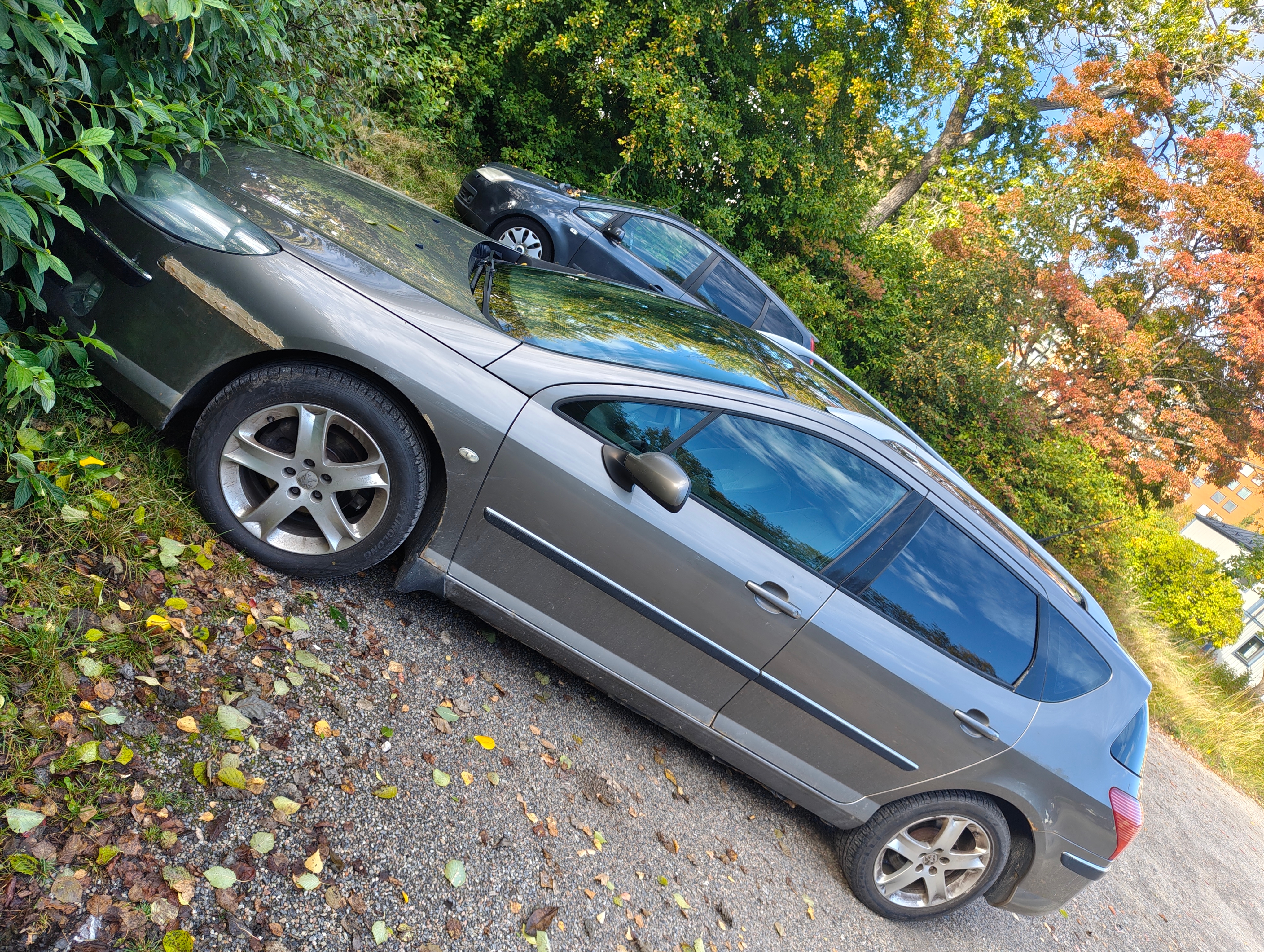 Peugeot 407