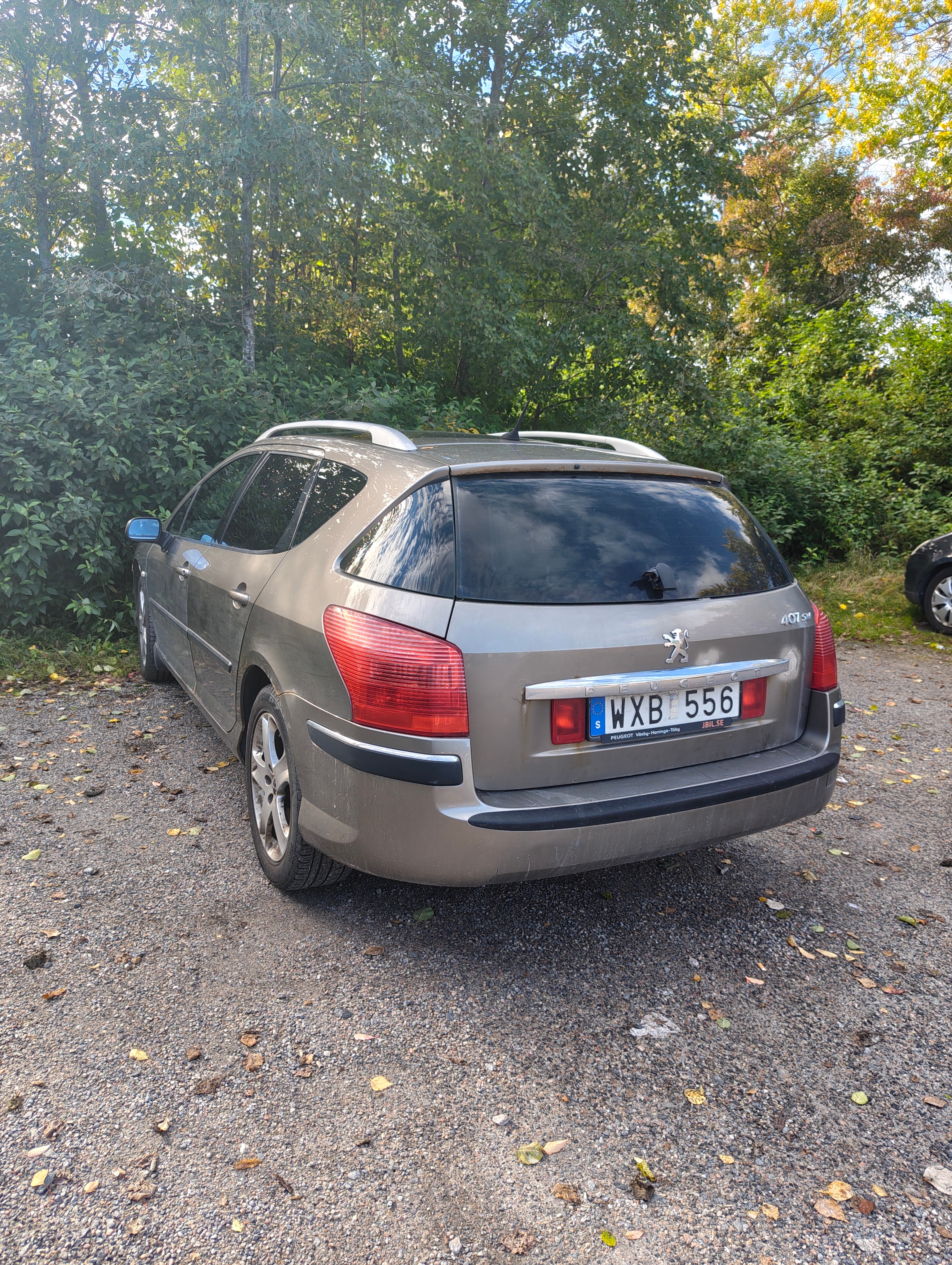 Peugeot 407 SW 2.0 Manuell 2005, bild 3/4