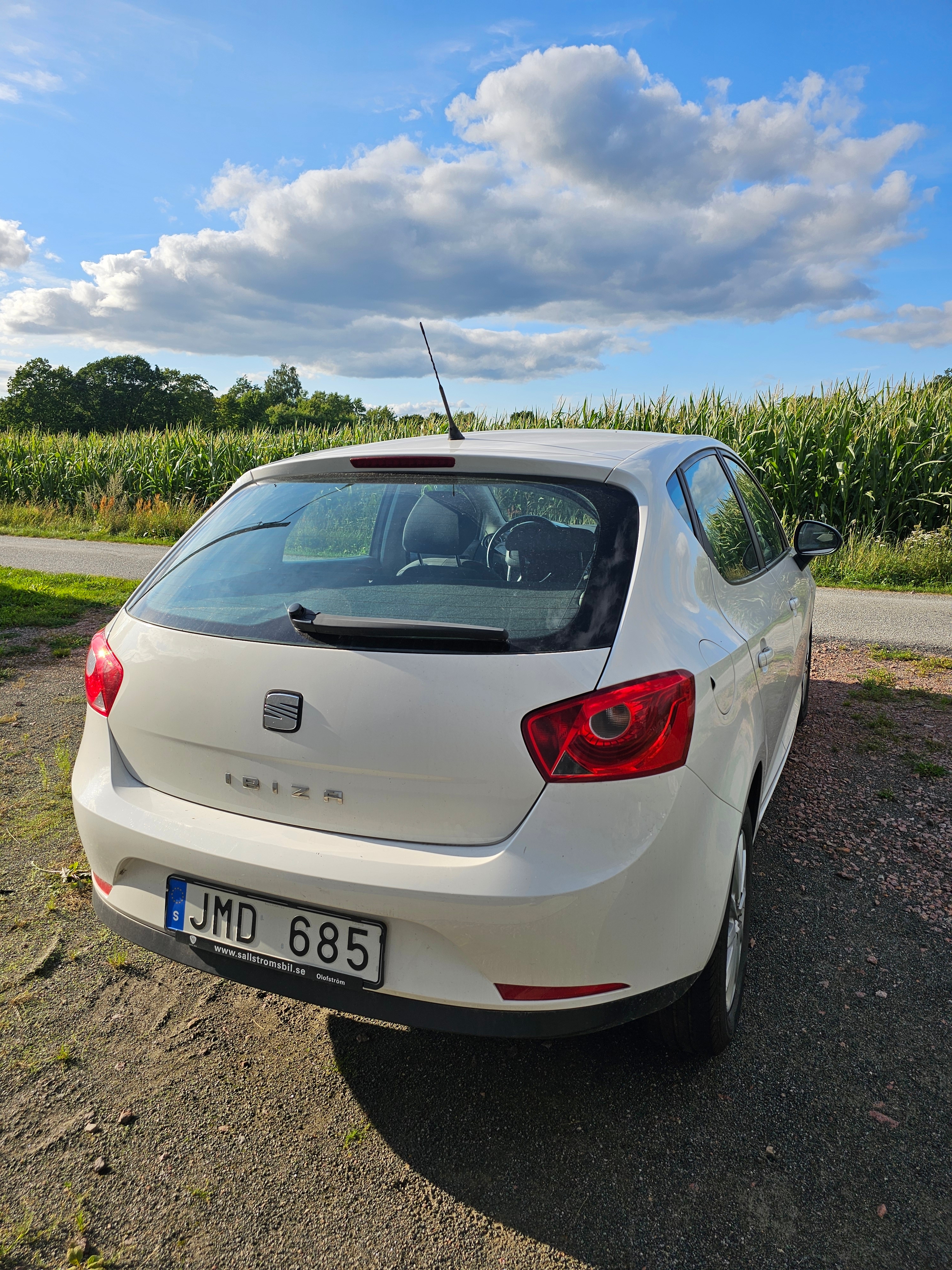 Seat Ibiza 2012, bild 2/3