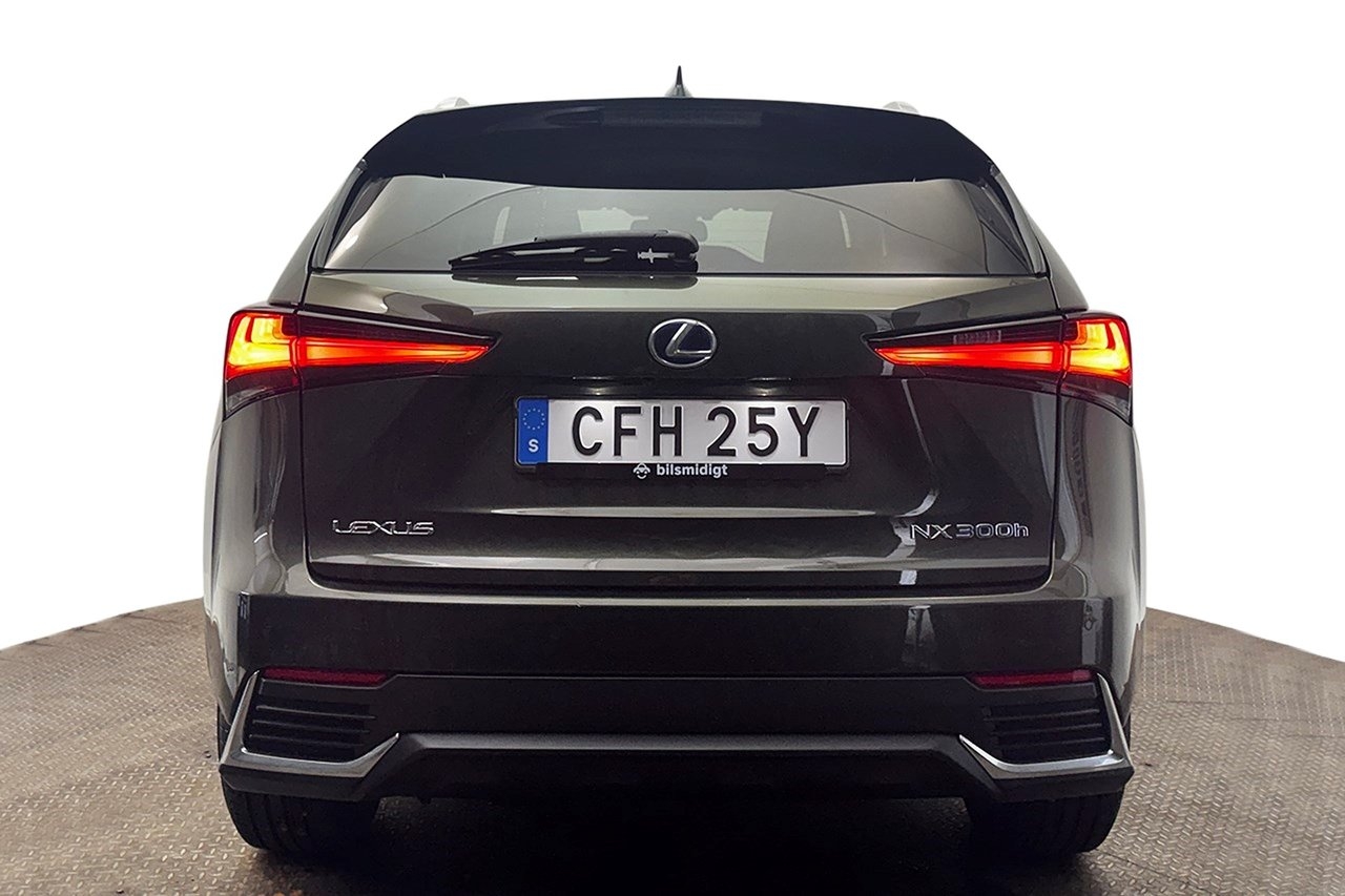 Lexus NX 2020, bild 7/10