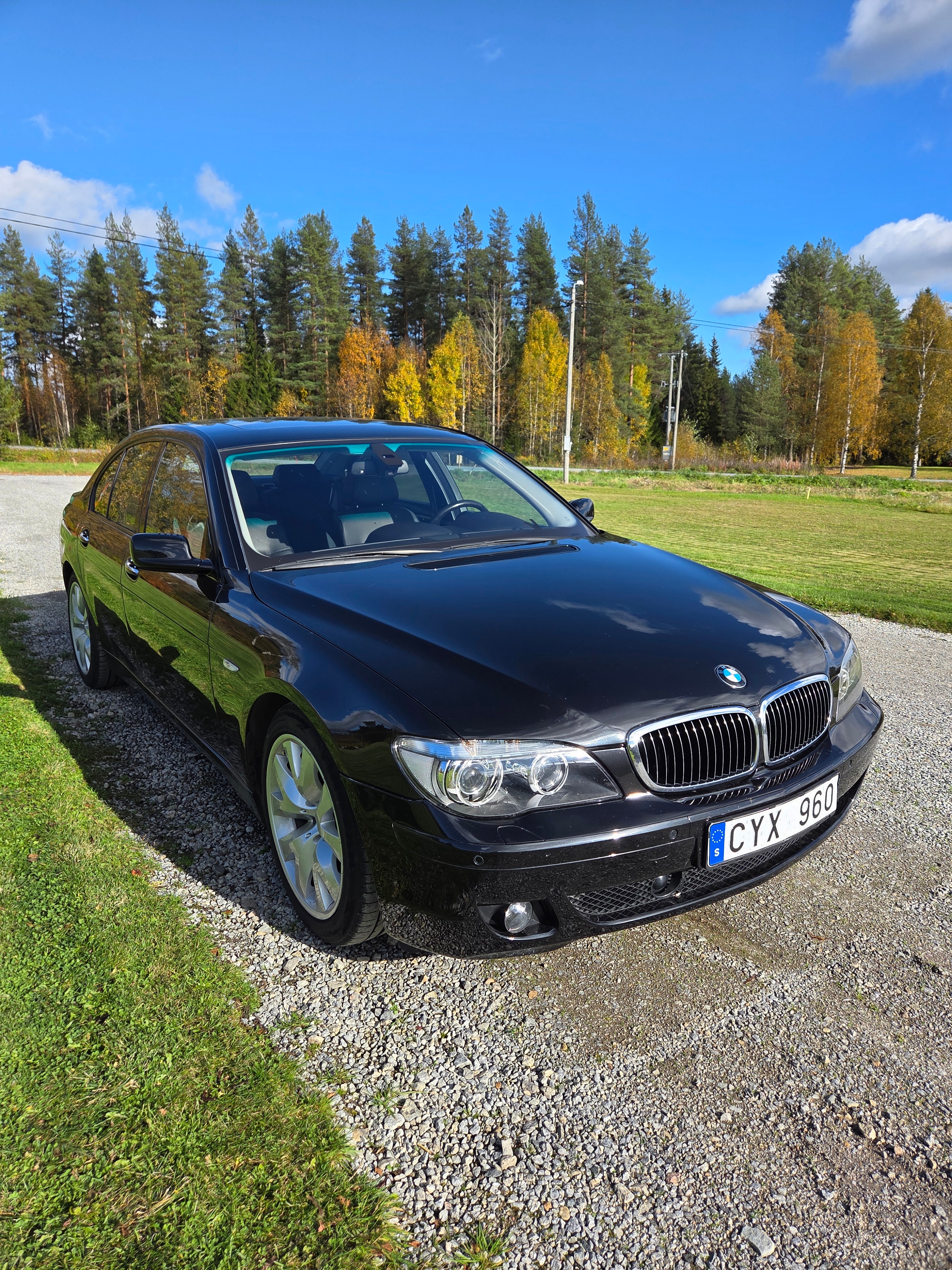 BMW 745 d Aldrig vinterkörd 2006, bild 6/10