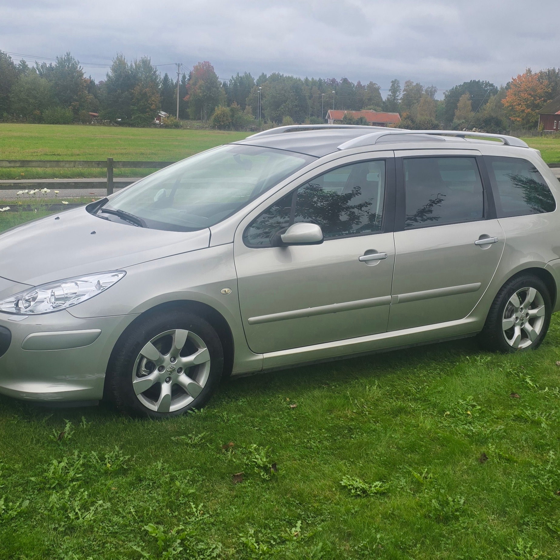 Peugeot 307
