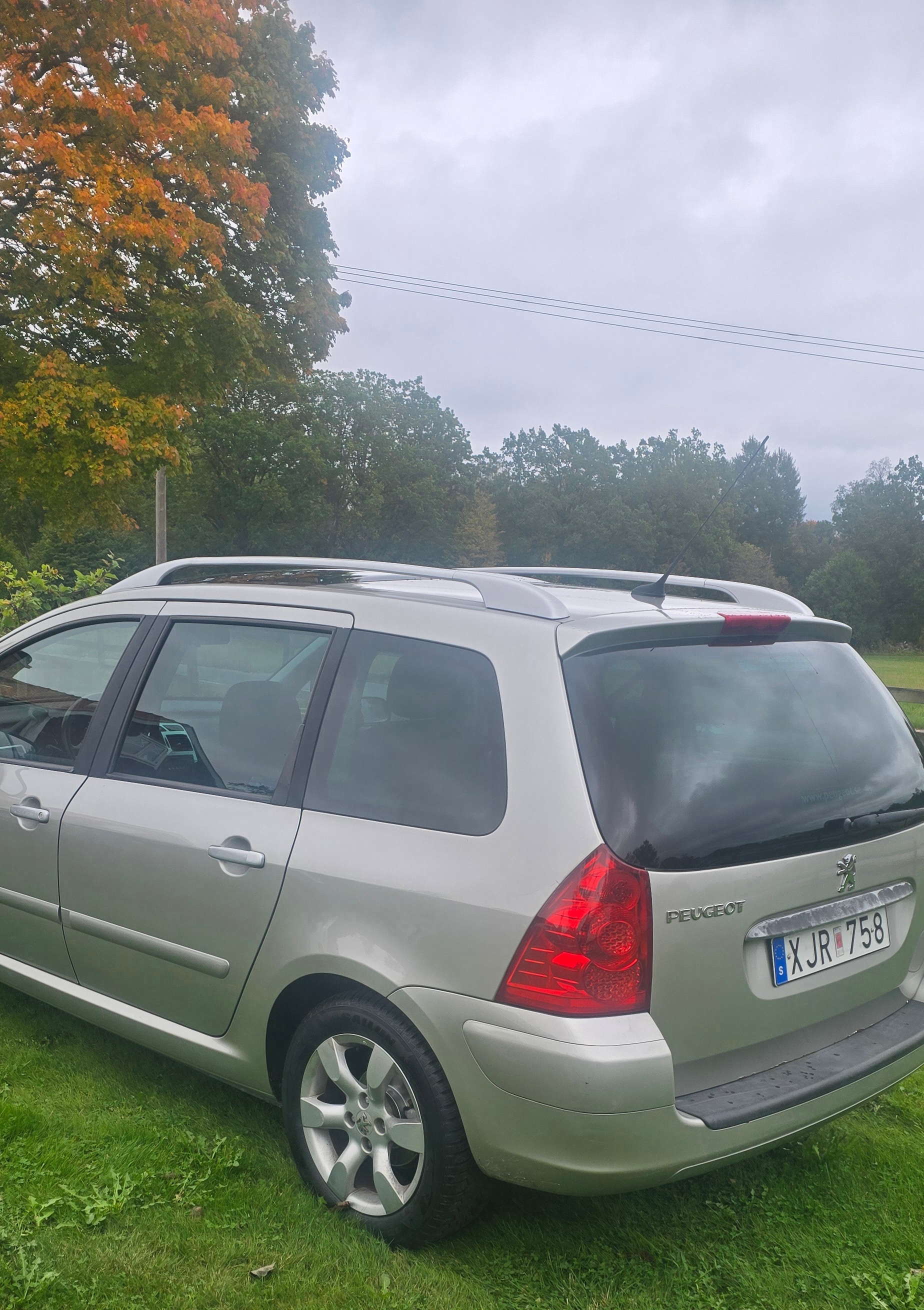 Peugeot 307 SW 2.0 Manuell 2006, bild 5/9