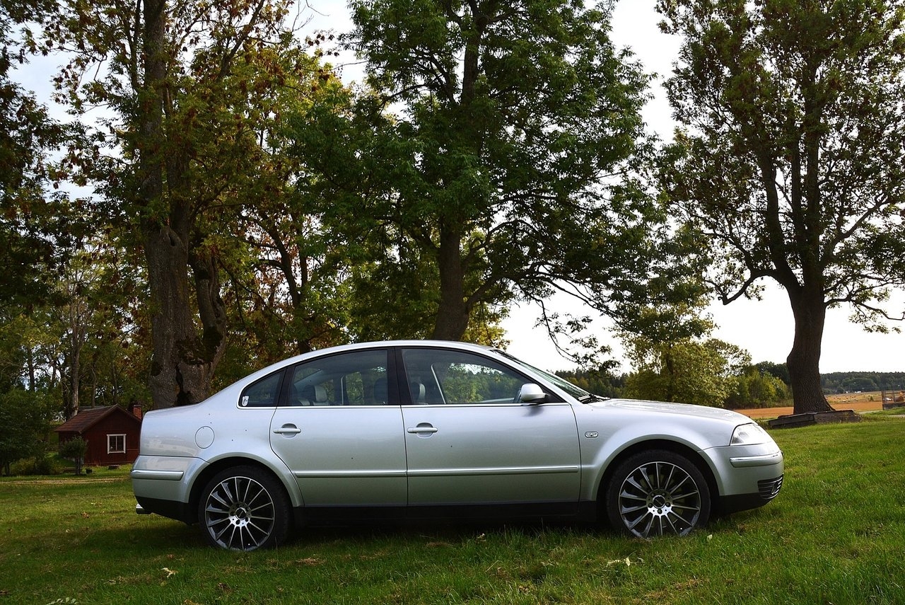 Volkswagen Passat W8 OBS 2002, bild 5/10