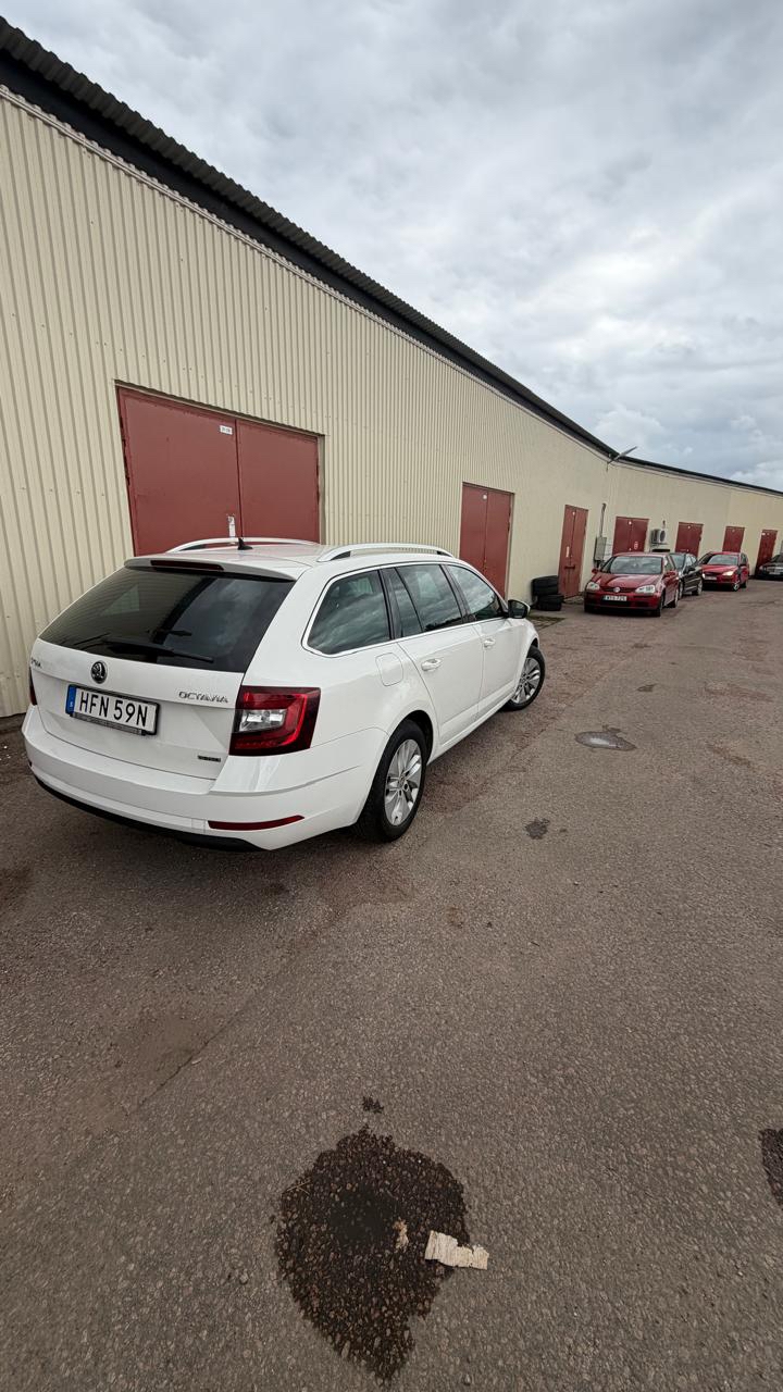 Skoda Octavia 2020, photo 5/7