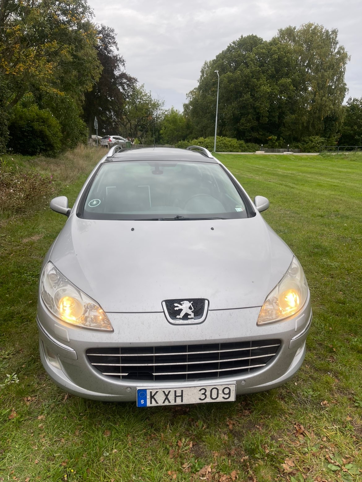Peugeot 407 SW 1.6 HDi Manuell 2011, bild 3/8
