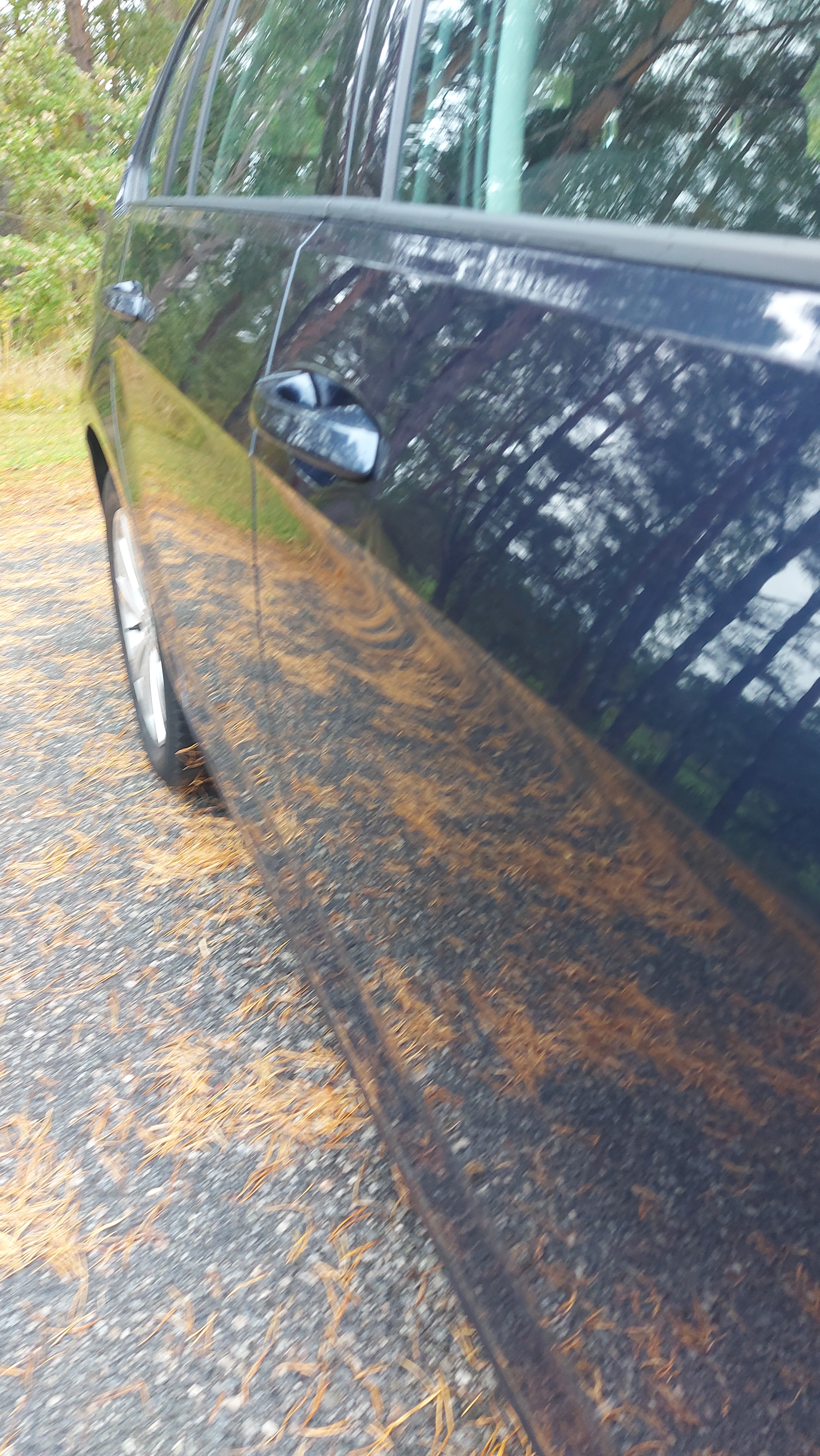 Volkswagen Golf 2014, bild 3/10