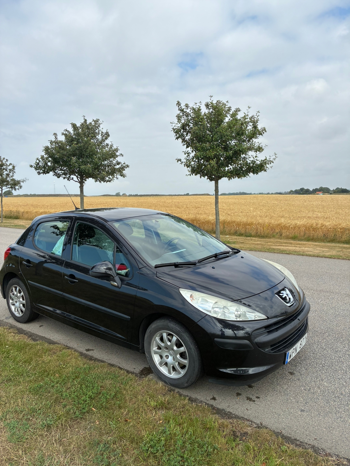 Peugeot 207 5-dörrar 1.4 VTi Manuell 2009, bild 4/10