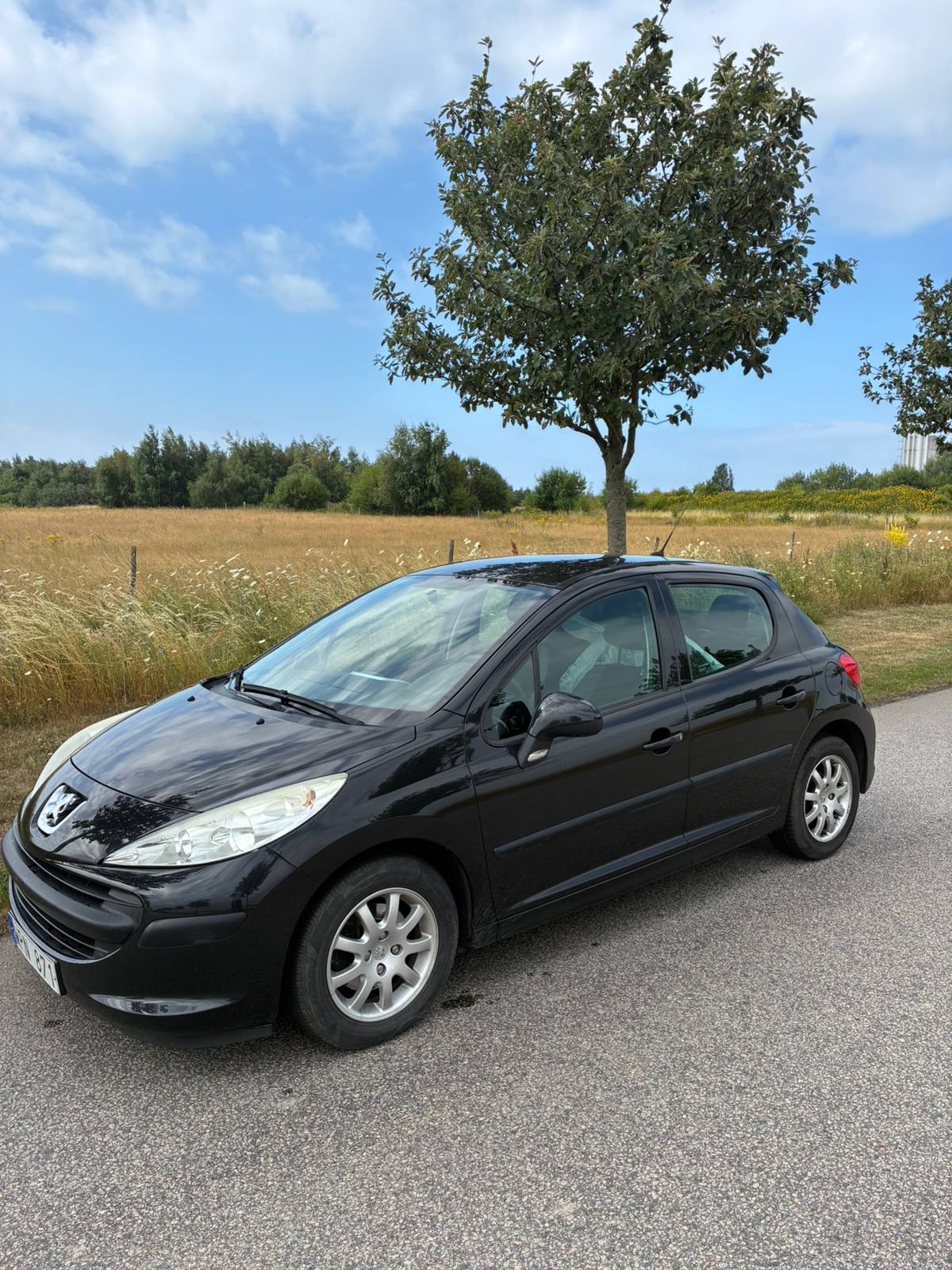 Peugeot 207 5-dörrar 1.4 VTi Manuell 2009, bild 6/10