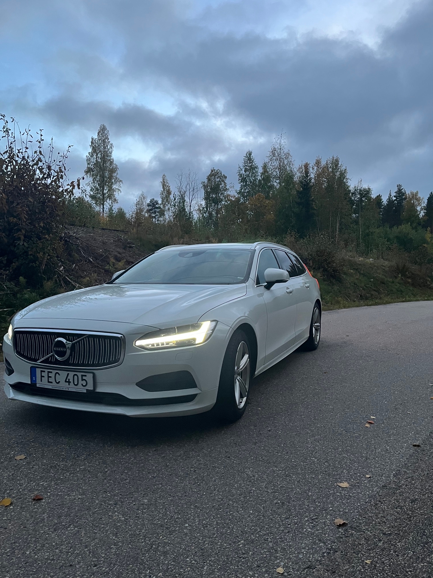 Volvo V90 T4 Geartronic 2019, bild 2/8