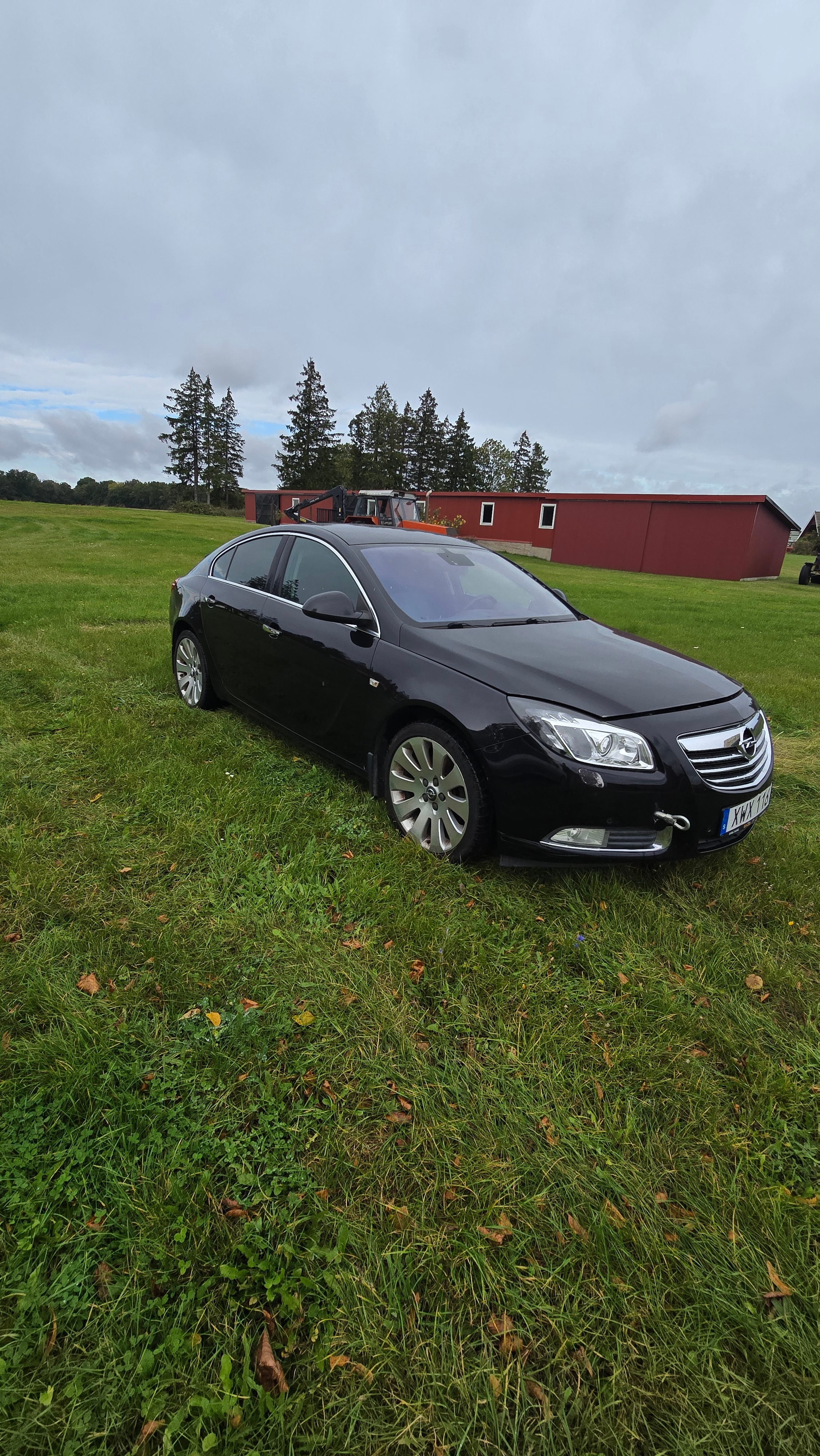 Opel Insignia 2.0 Turbo 4x4 Automatisk 2009, bild 2/4