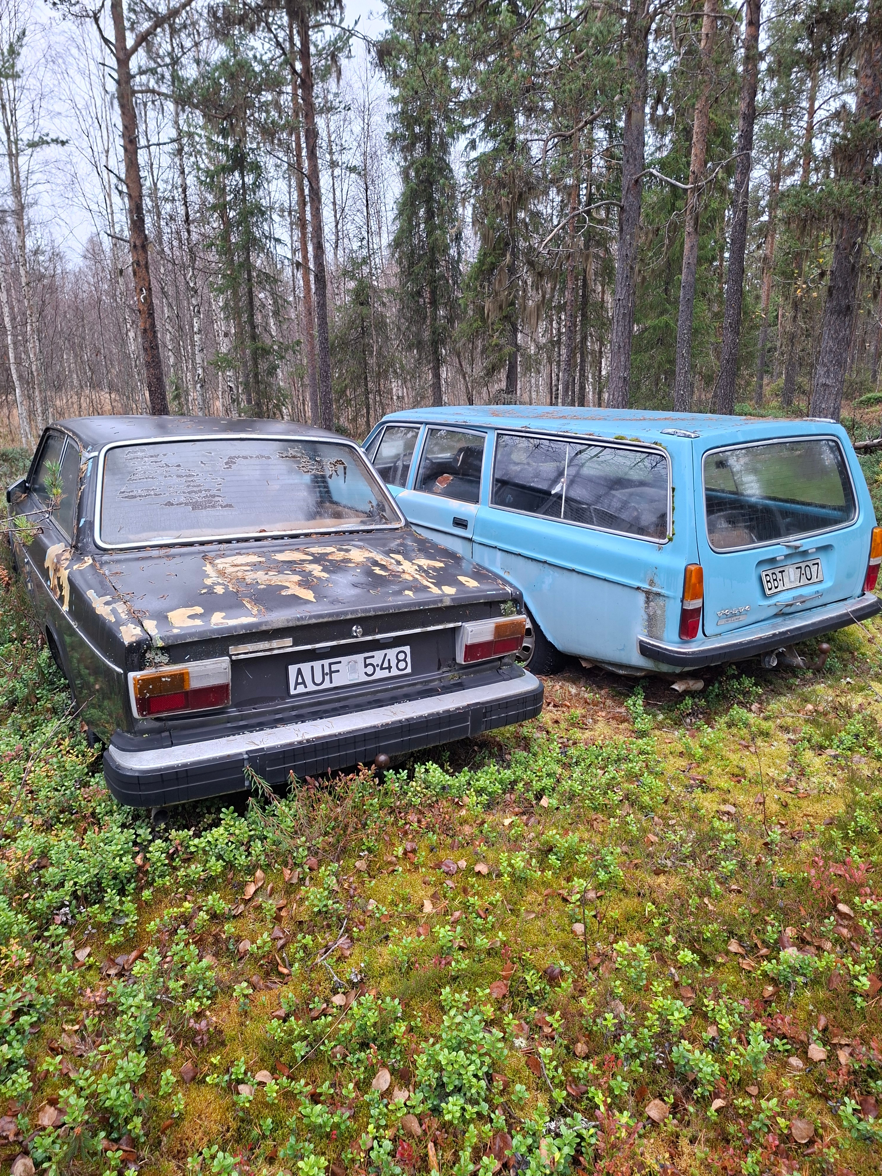 Volvo 145