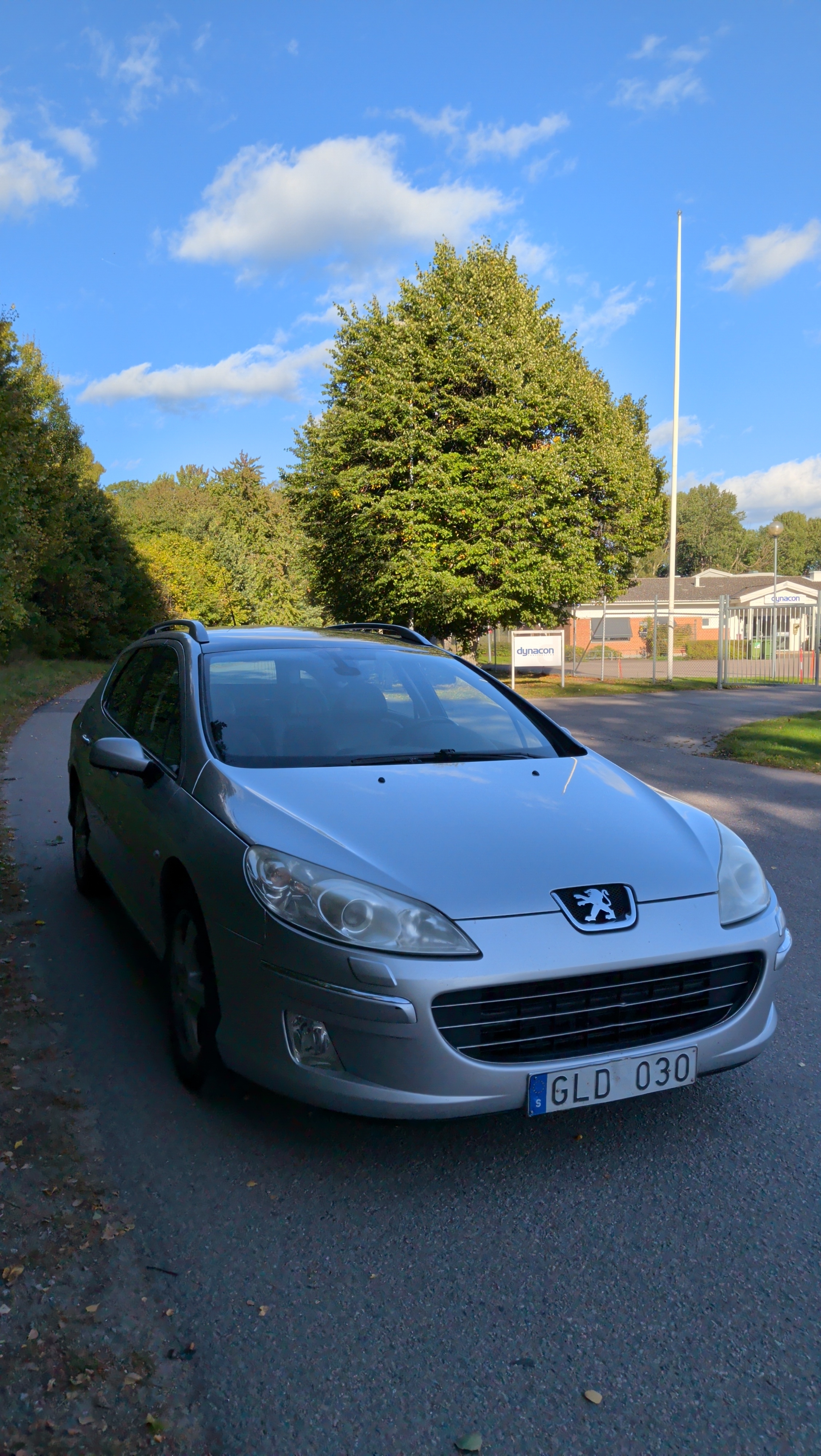 Peugeot 407 SW 2.7 V6 HDi Automatisk 2008, bild 2/6