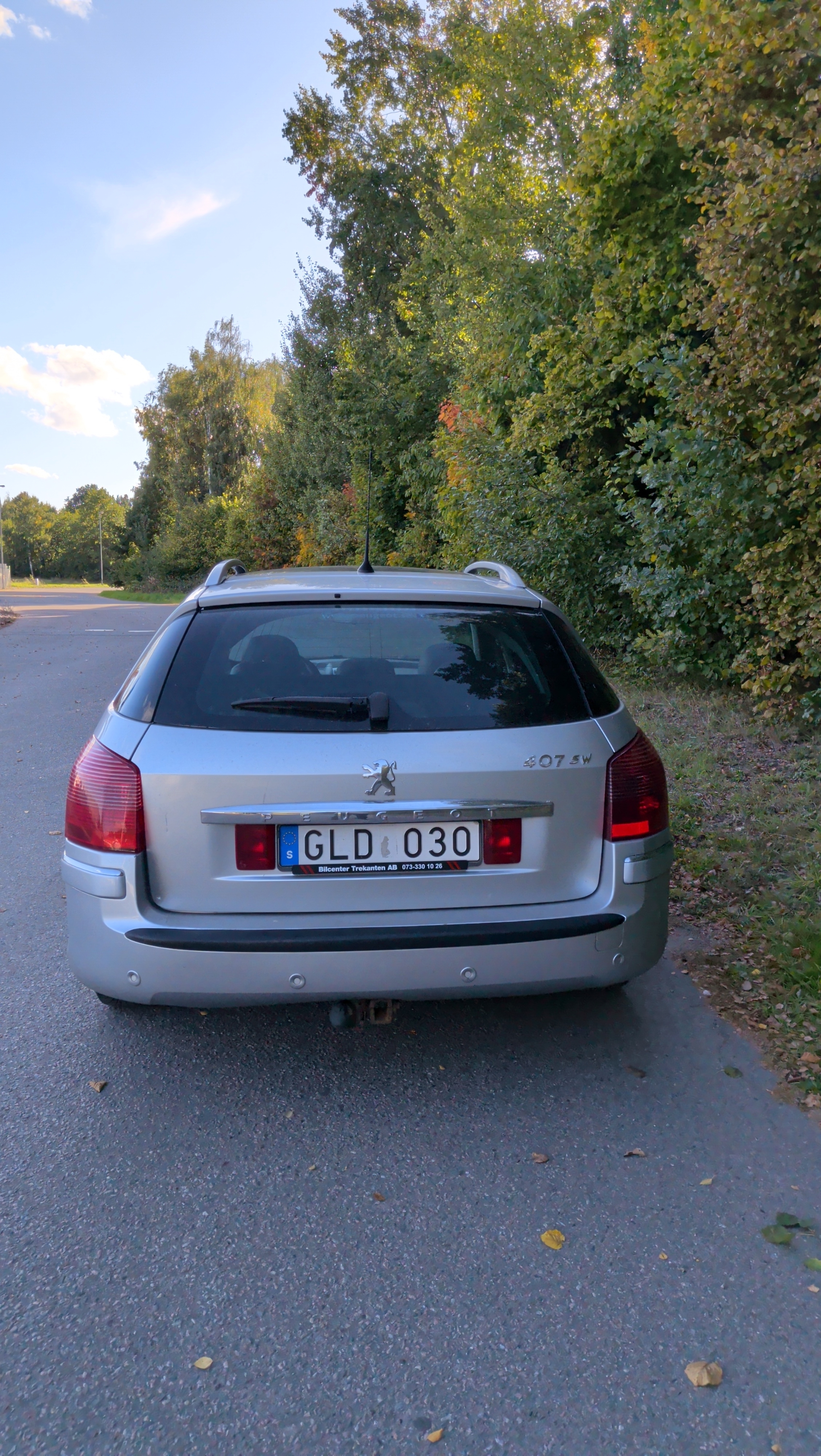 Peugeot 407 SW 2.7 V6 HDi Automatisk 2008, bild 4/6