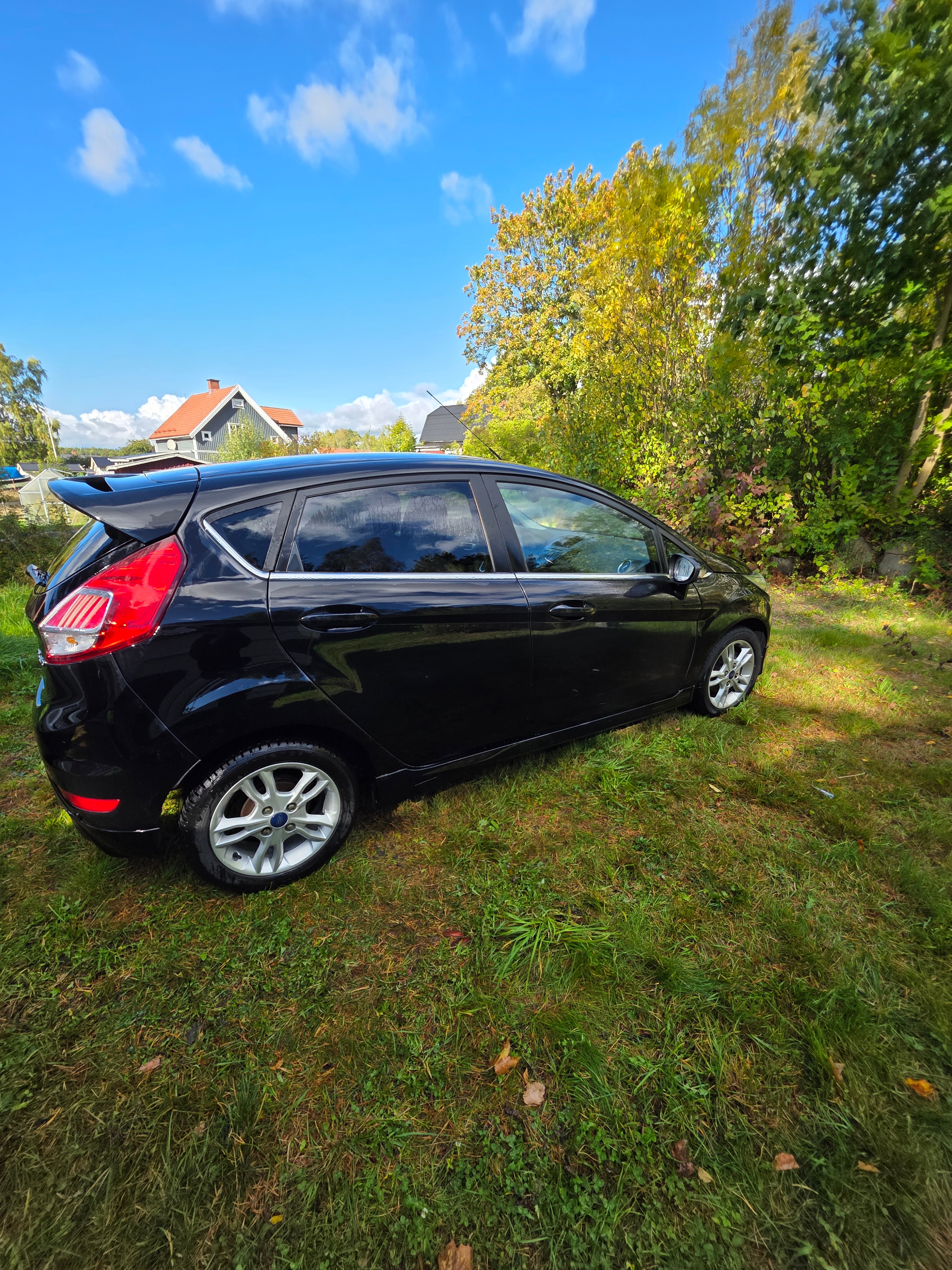 Ford Fiesta 2016, bild 4/10