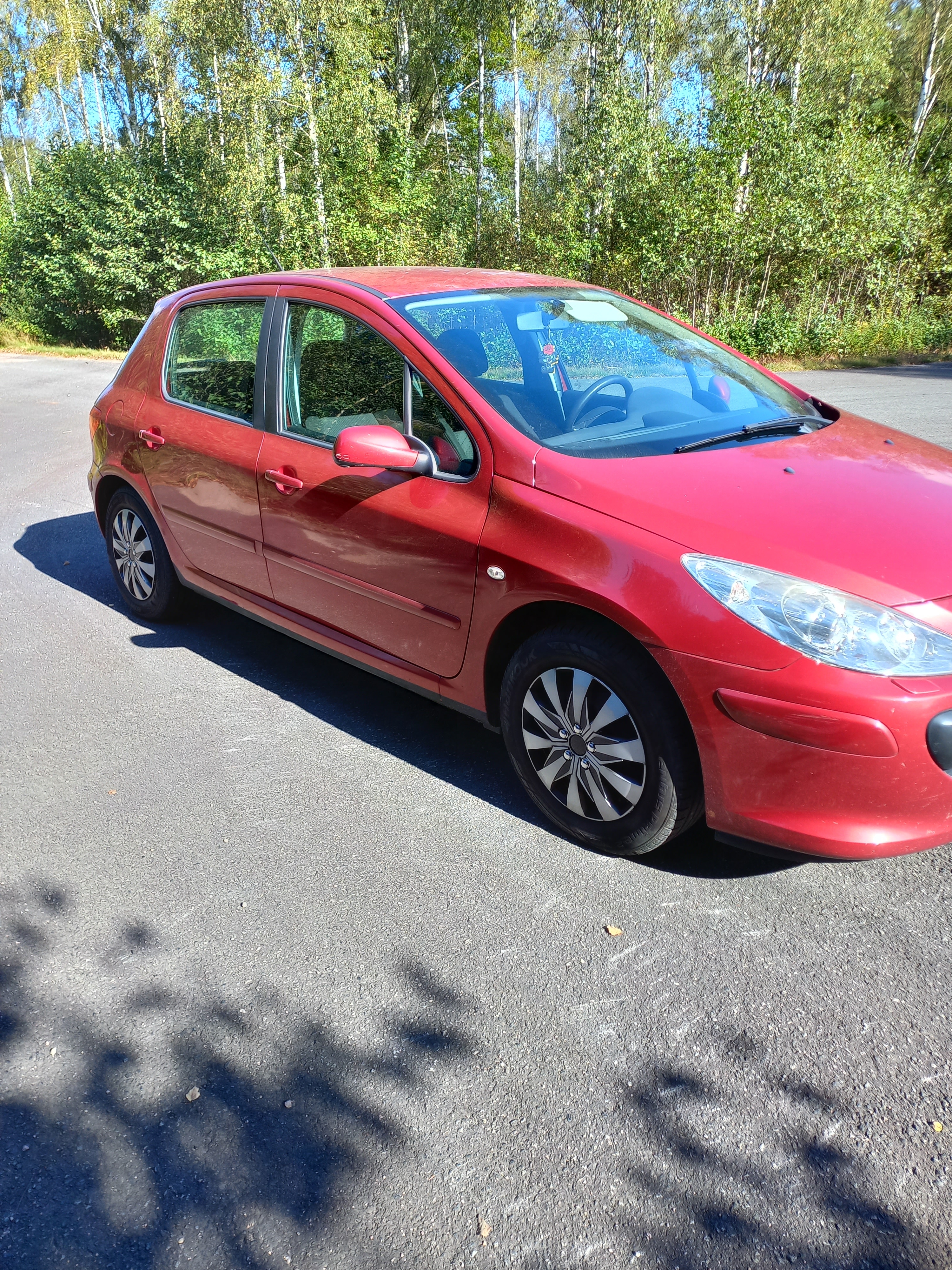 Peugeot 307 5-dörrar 1.6 Manuell 2006, kuva 4/4