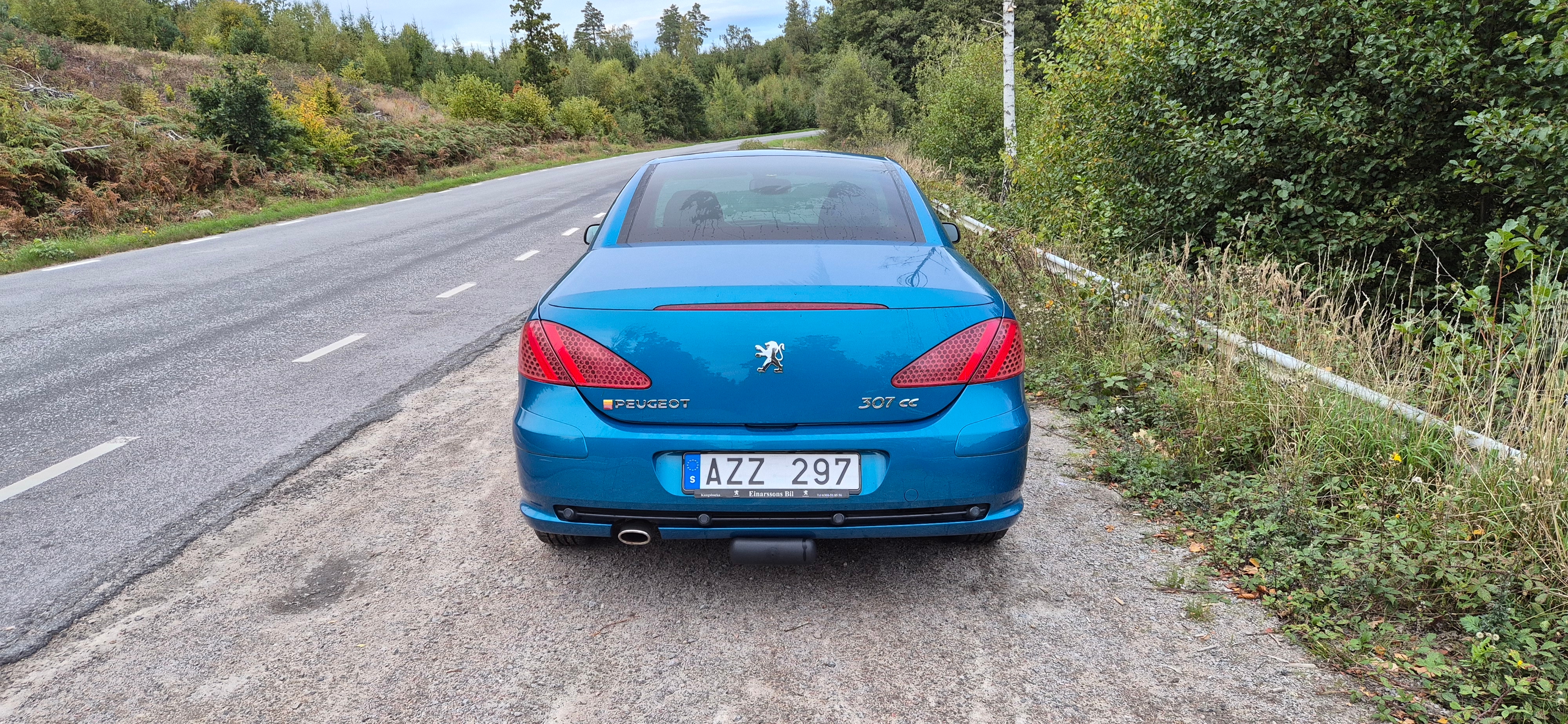 Peugeot 307 CC 2.0 Manuell 2006, bild 2/5