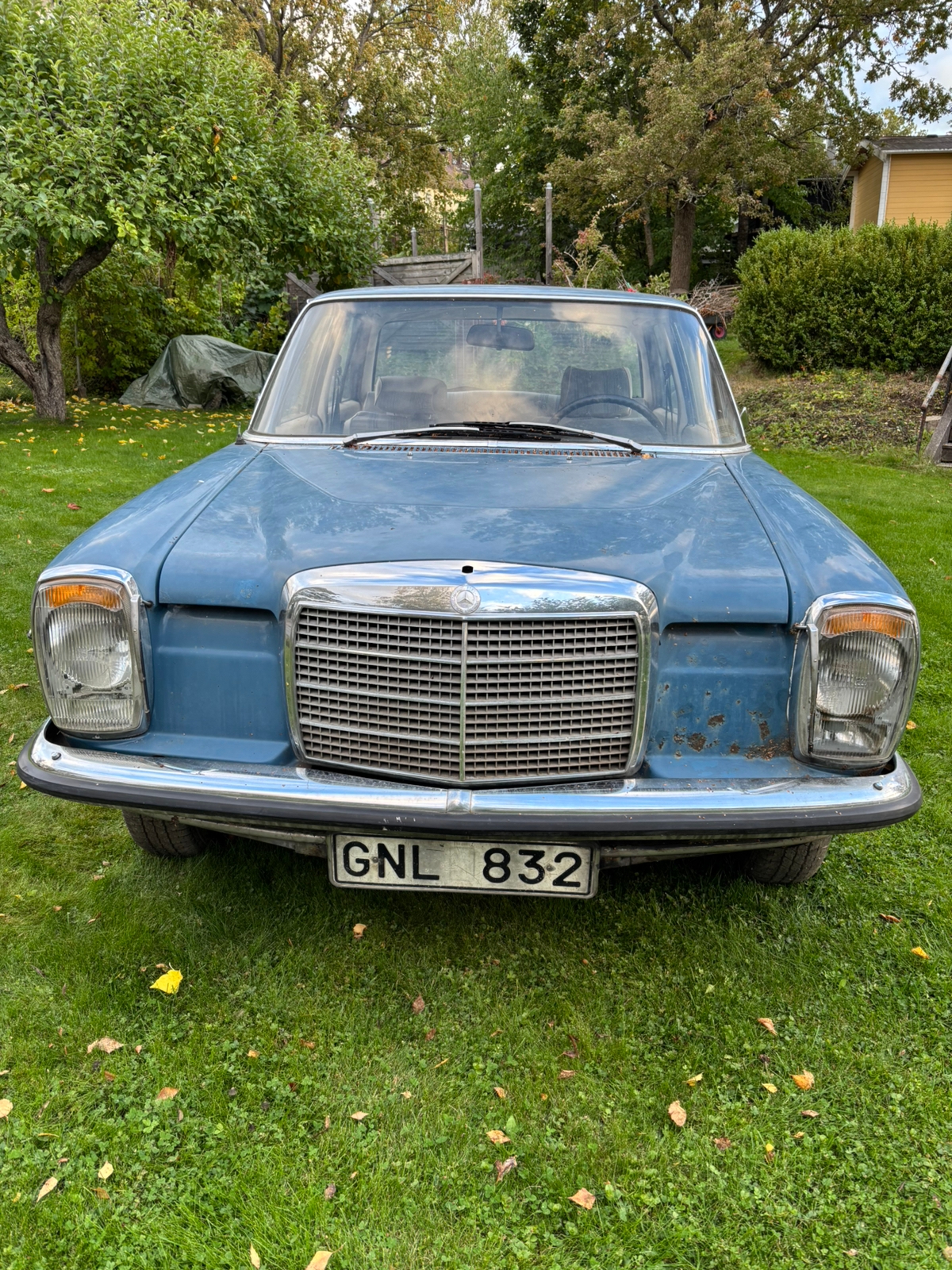 Mercedes-Benz 230