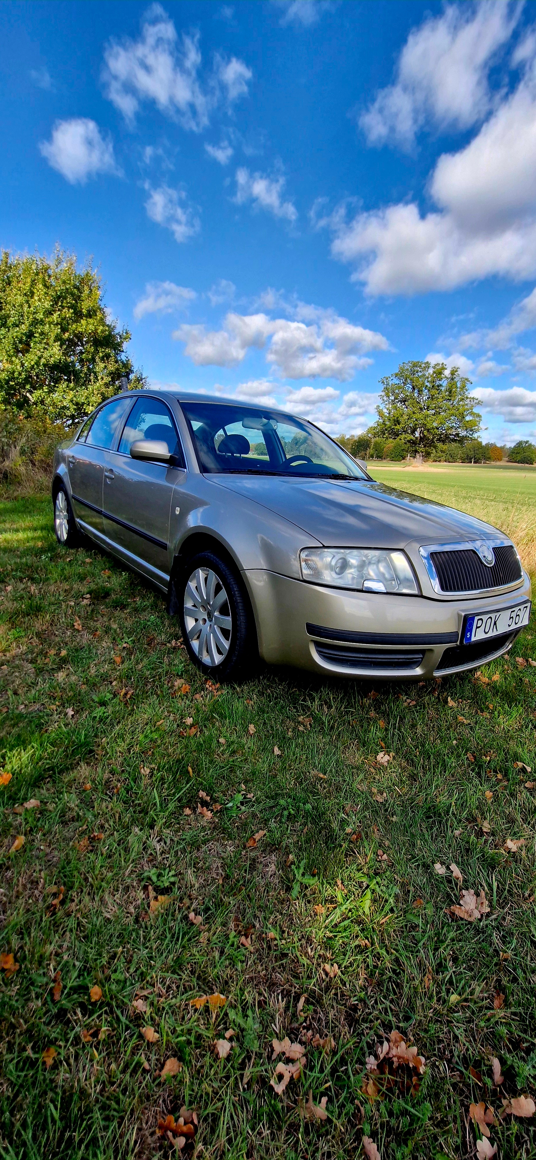 Skoda Superb 1.8 T Manuell 2006, bild 4/7